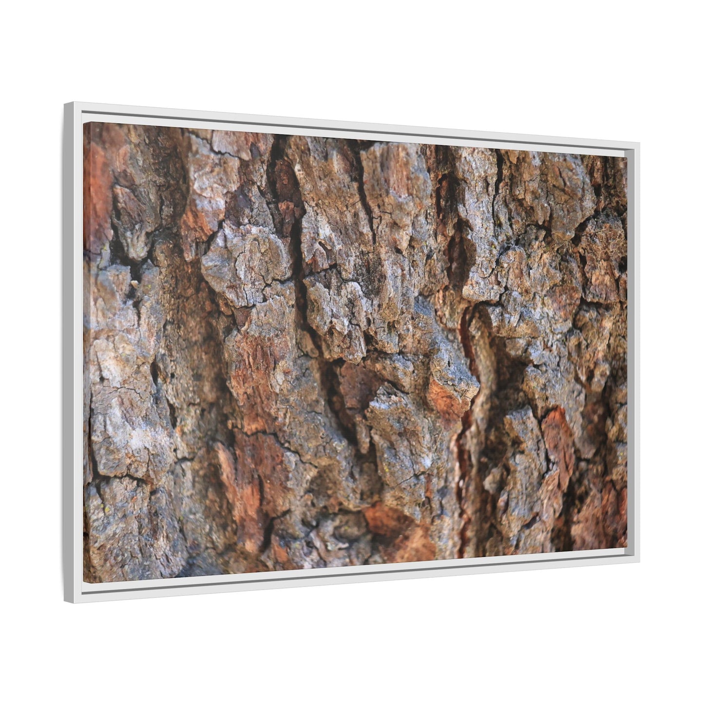 Craggy Textures - Unique Stretched Canvas Wall Art