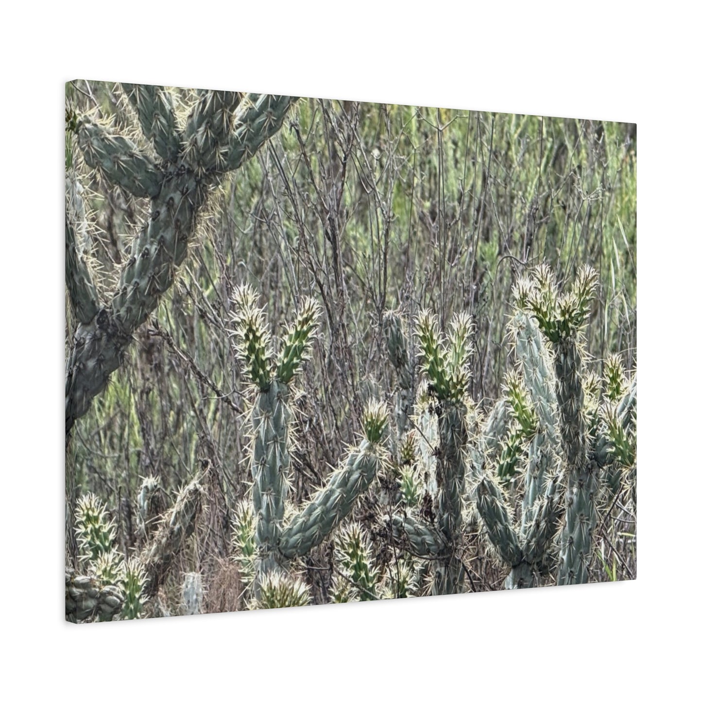 Spiny Sentinels - Unique Frameless Canvas Wall Art