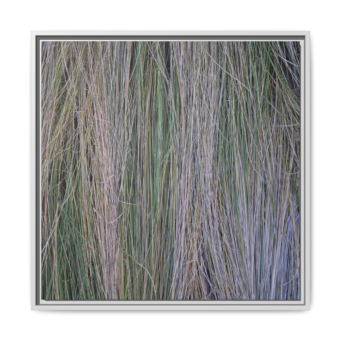 Whispers of Silver Grass - Unique Stretched Canvas Wall Art