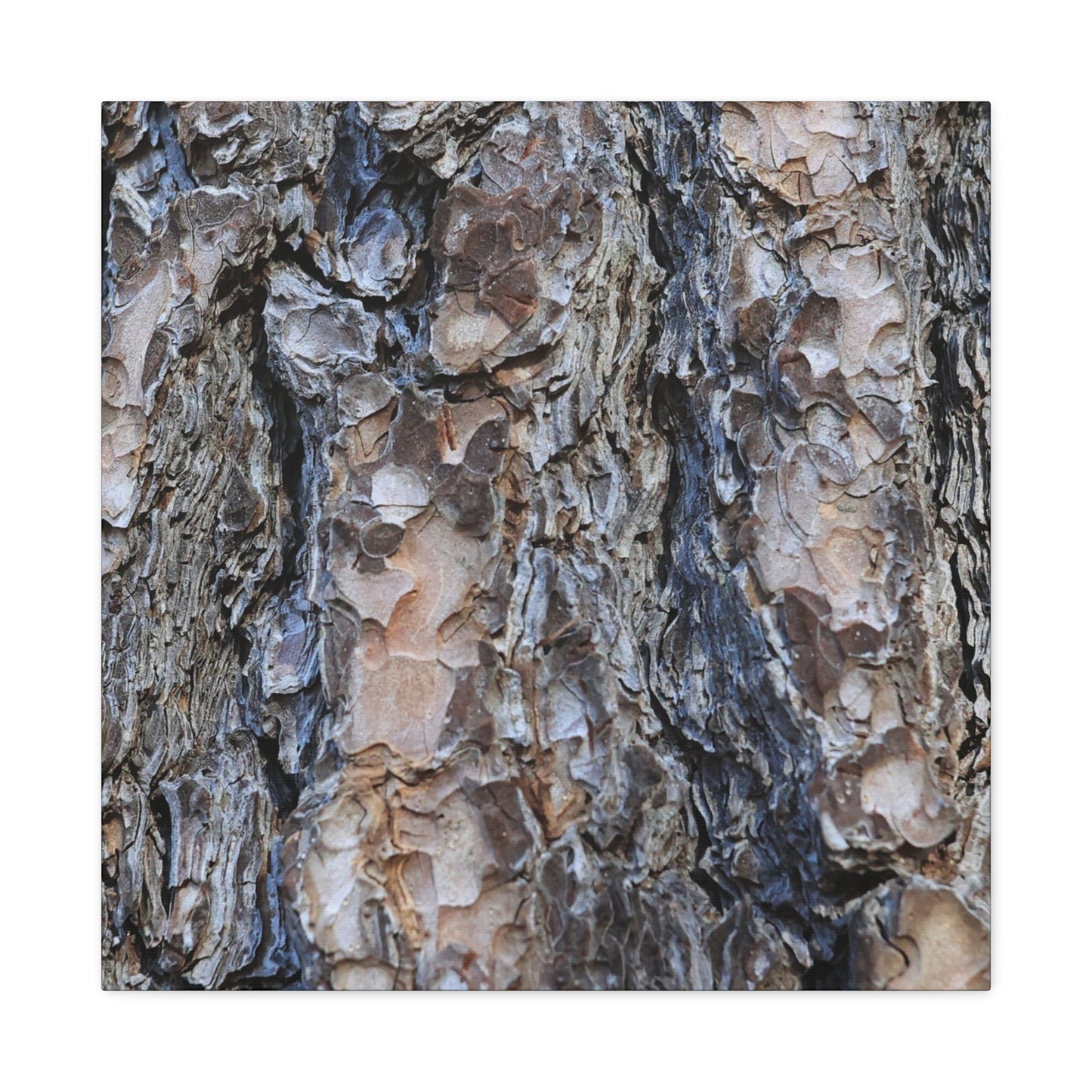 Arboreal Patterns - Unique Frameless Canvas Wall Art
