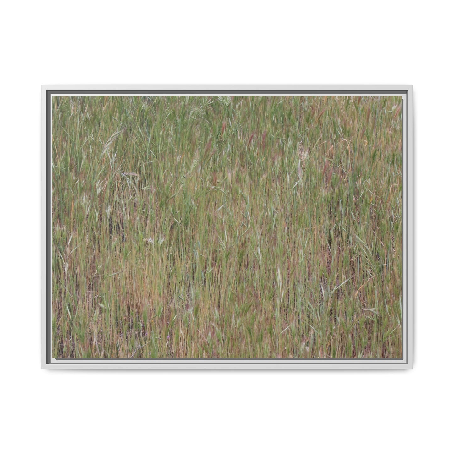 Field of Dreams - Unique Stretched Canvas Wall Art