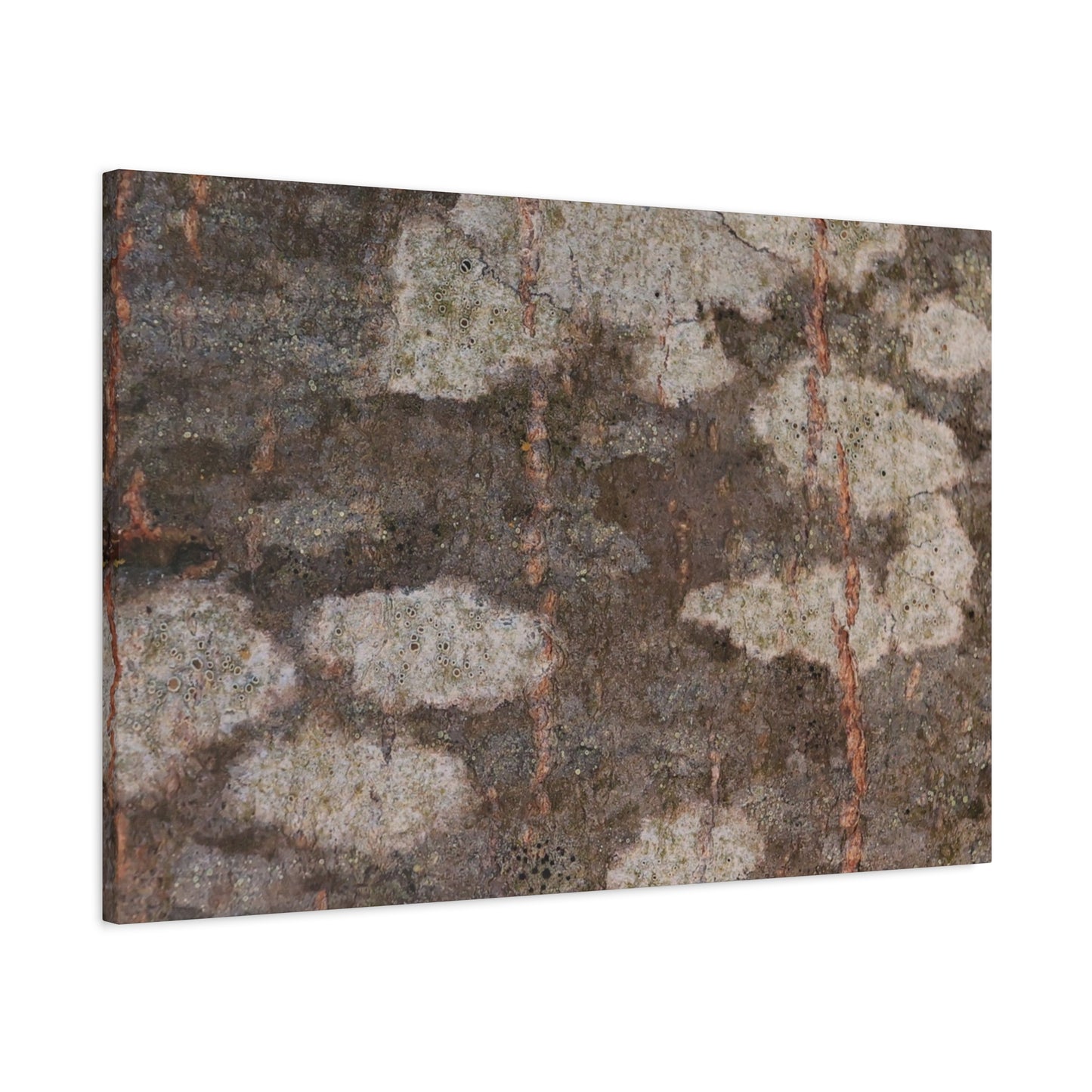 Earthen Memoir - Unique Frameless Canvas Wall Art
