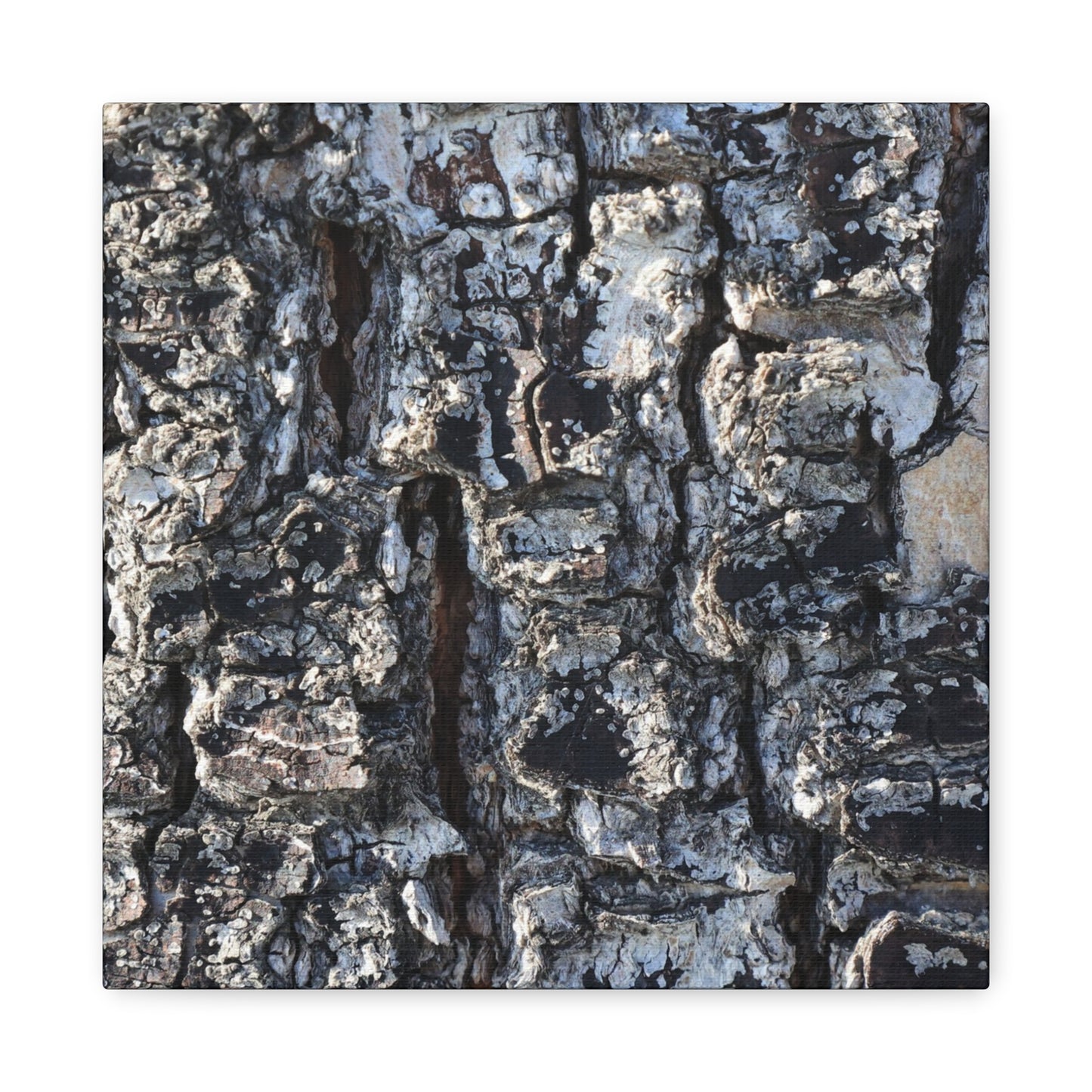 Textured Whispers of the Ancient Tree - Unique Frameless Canvas Wall Art
