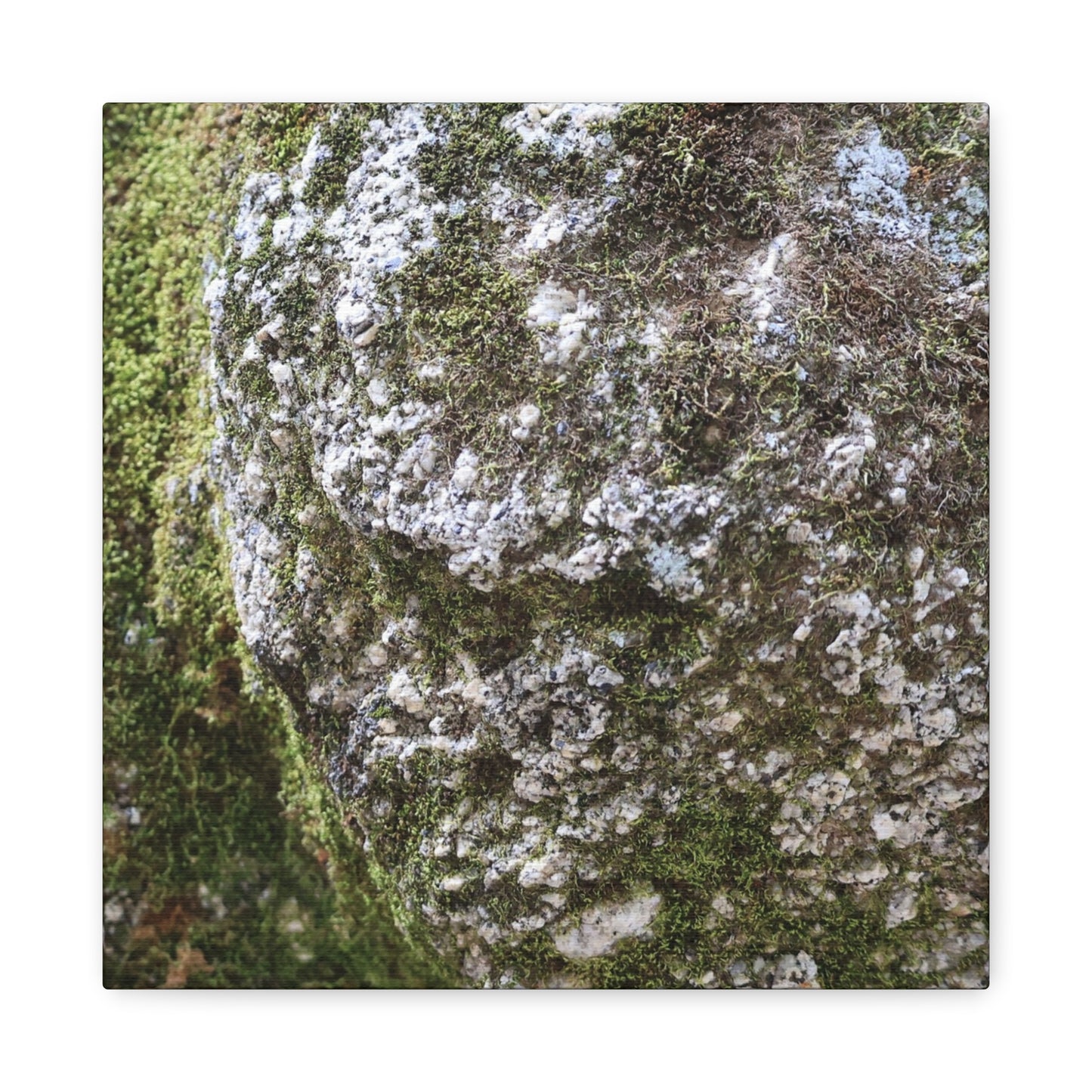 Moss and Stone Whispers - Unique Frameless Canvas Wall Art