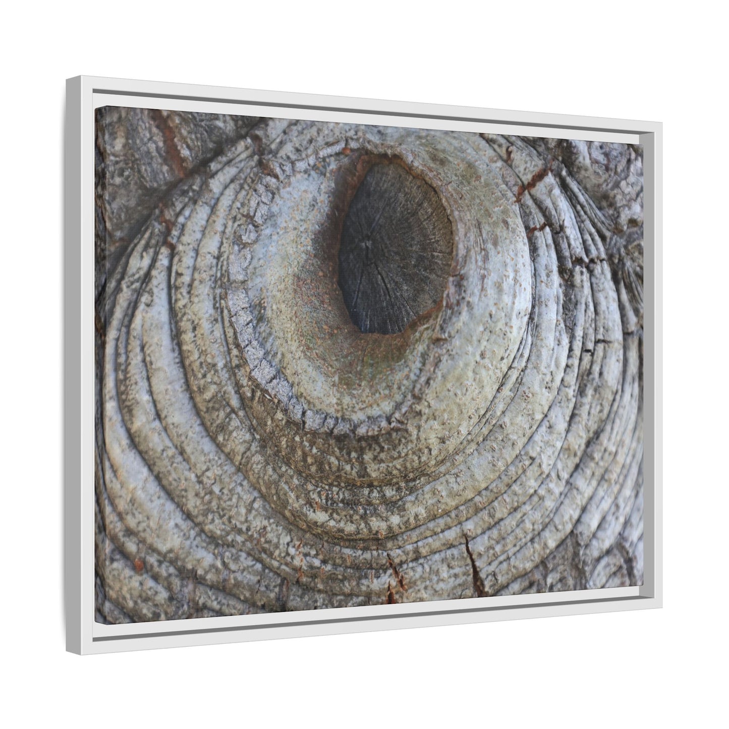Echoes of Time - Unique Stretched Canvas Wall Art