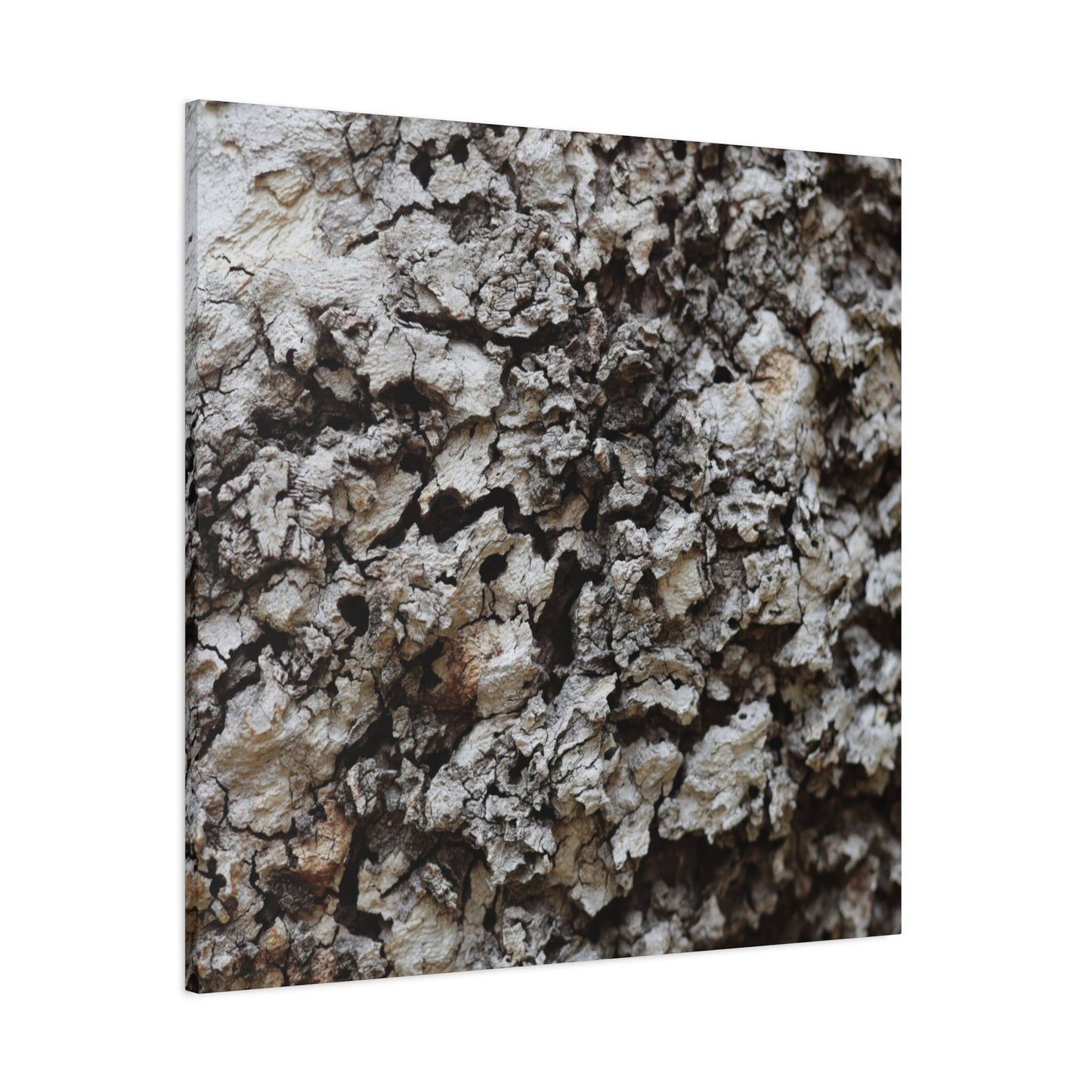 Cracked Earth Tapestry - Unique Frameless Canvas Wall Art