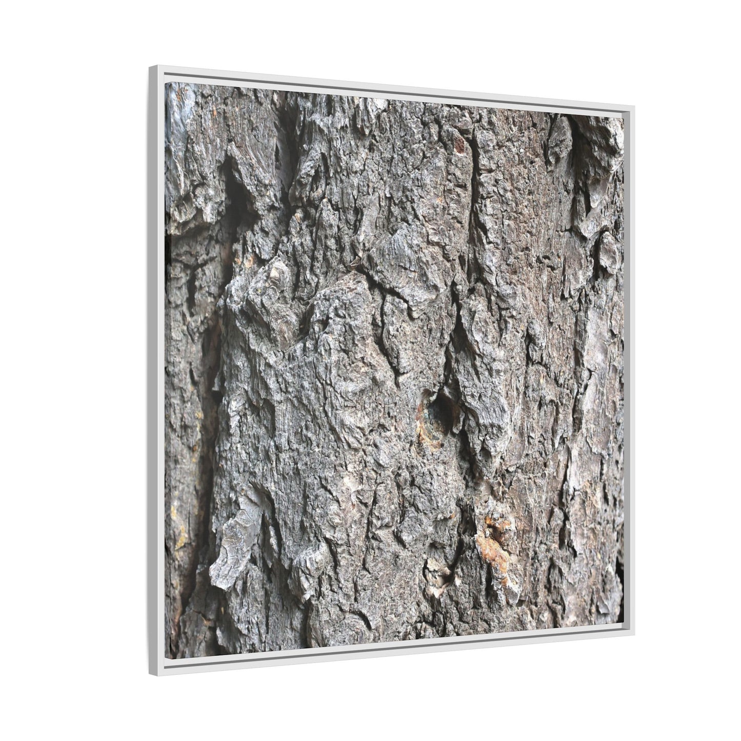 Crusty Exterior - Unique Stretched Canvas Wall Art