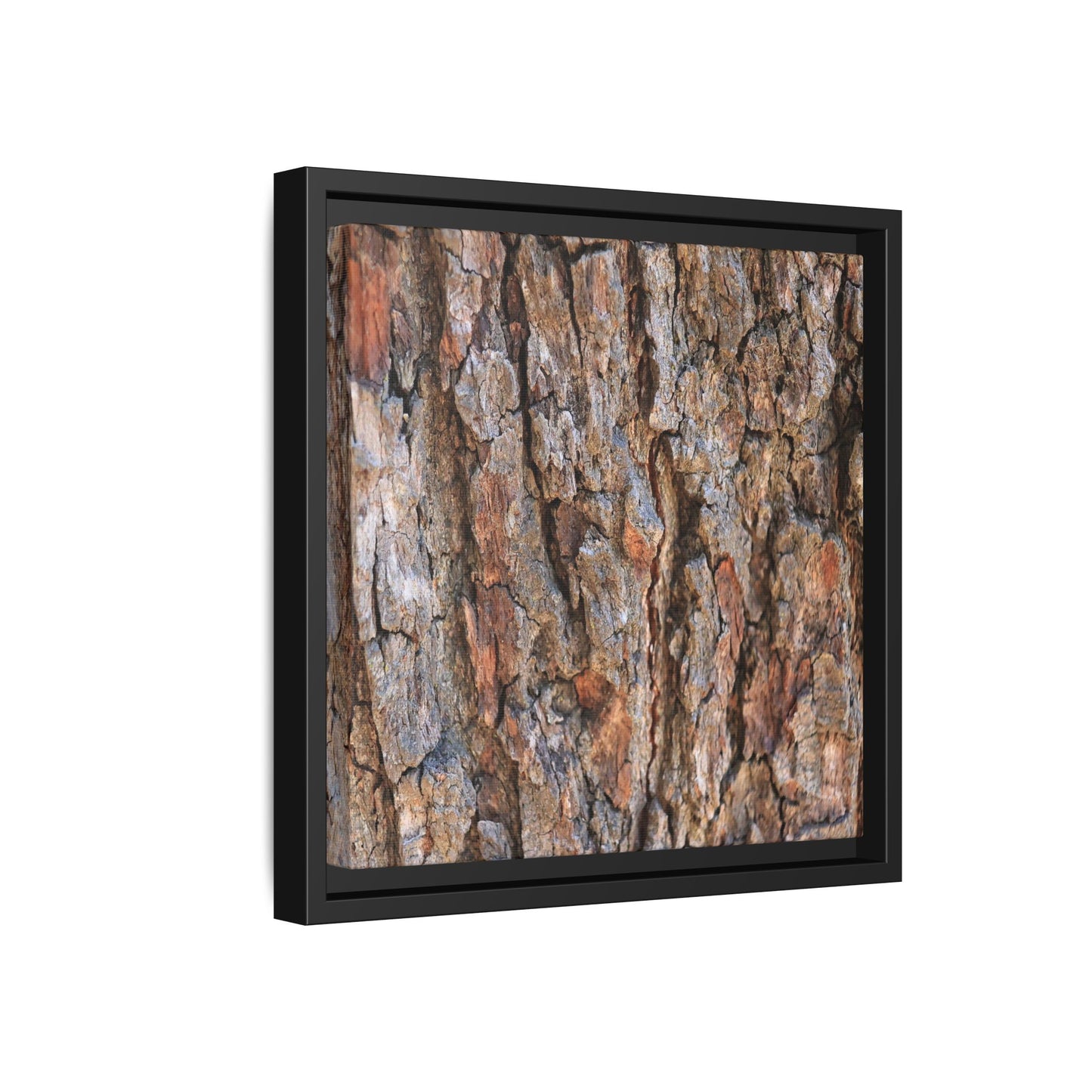 Tree's Timeworn Tale - Unique Stretched Canvas Wall Art