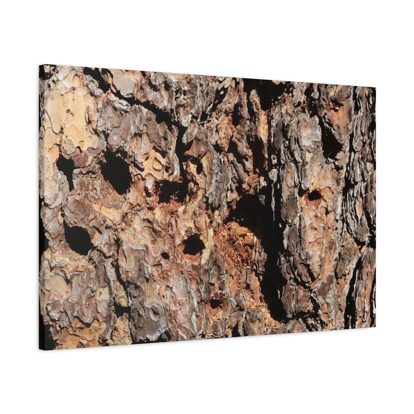 Tree Bark Mosaic - Unique Frameless Canvas Wall Art