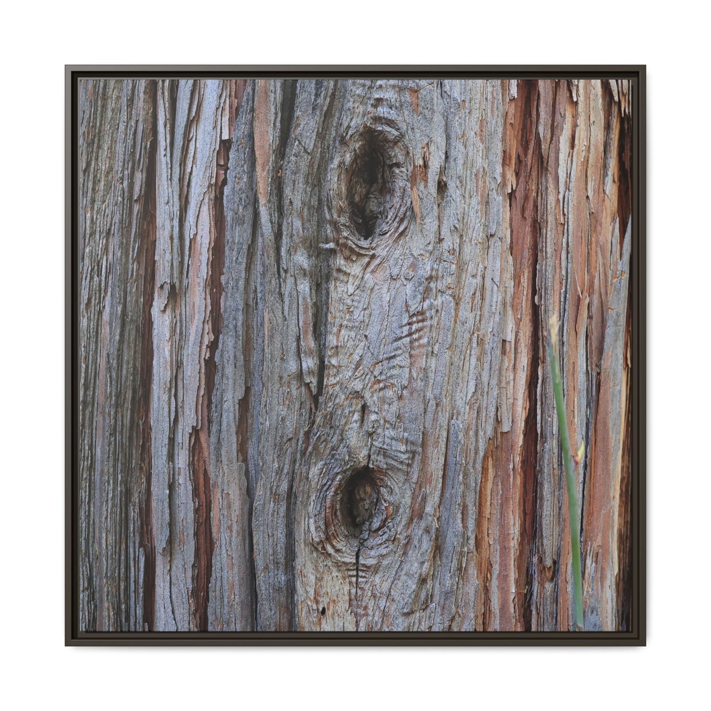 Knotty Nature - Unique Stretched Canvas Wall Art
