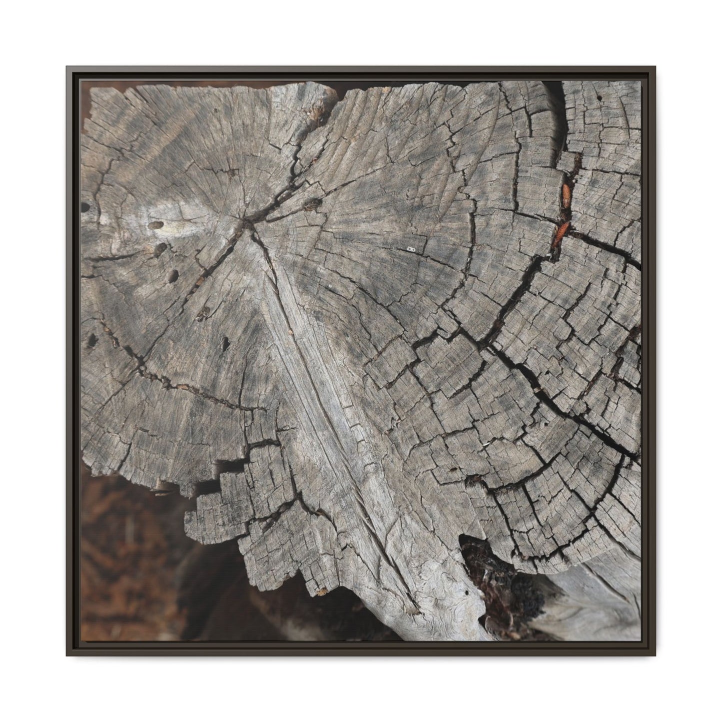 Time's Signature - Unique Stretched Canvas Wall Art