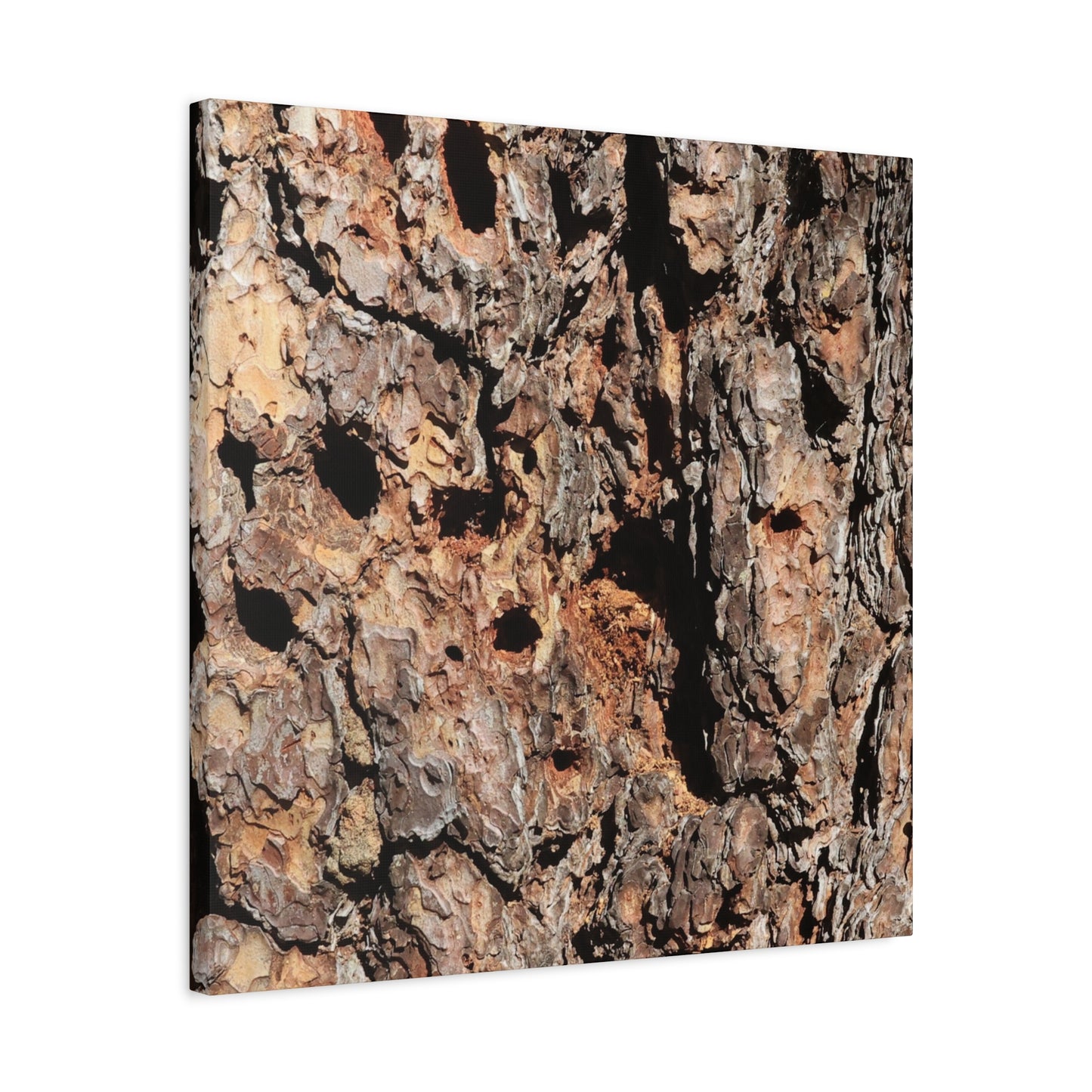 Tree Bark Mosaic - Unique Frameless Canvas Wall Art