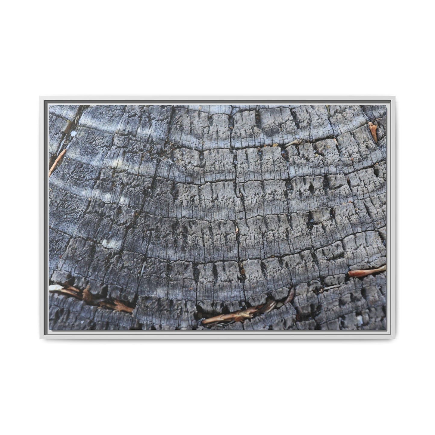 Charred Memories - Unique Stretched Canvas Wall Art