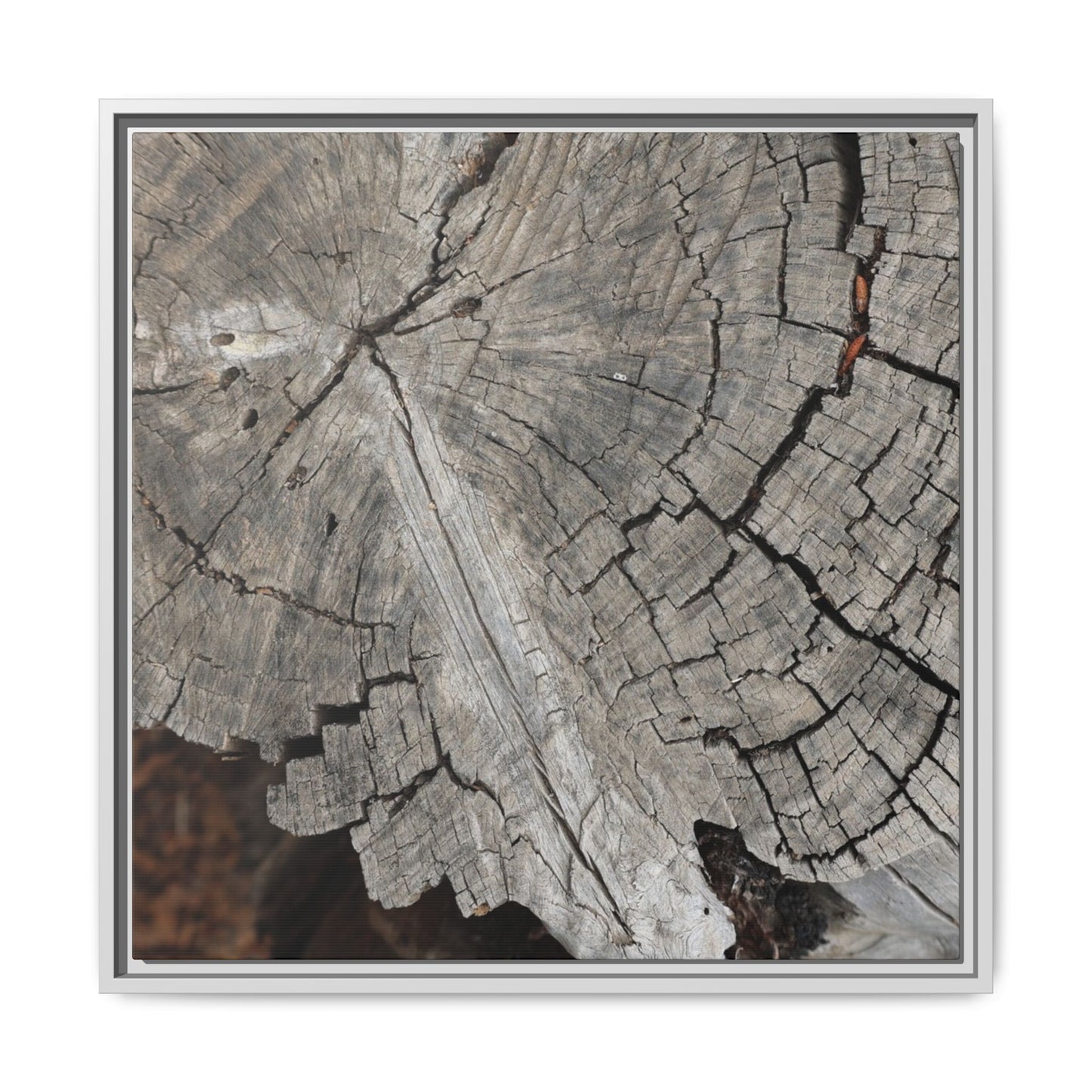 Time's Signature - Unique Stretched Canvas Wall Art