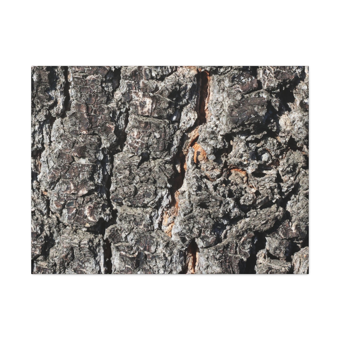 Arboreal Skin - Unique Frameless Canvas Wall Art