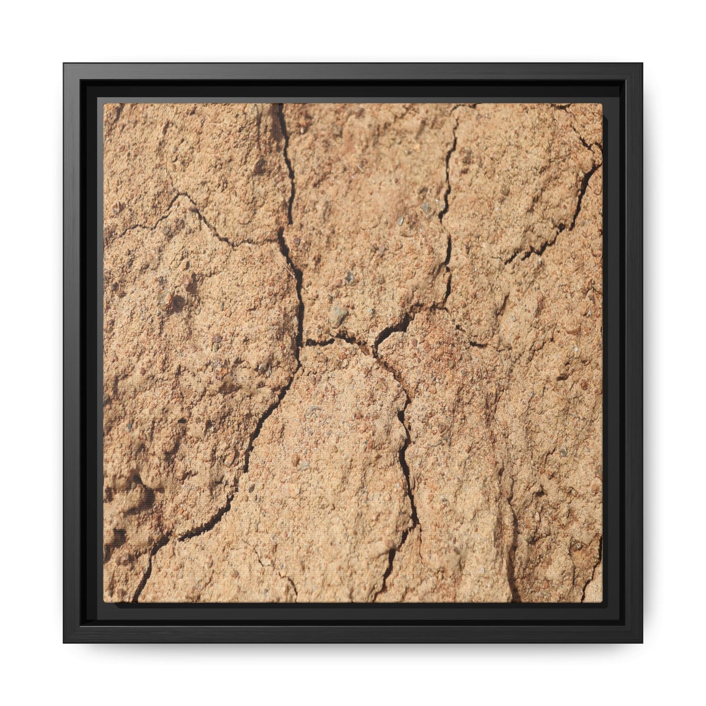 Parched Land - Unique Stretched Canvas Wall Art