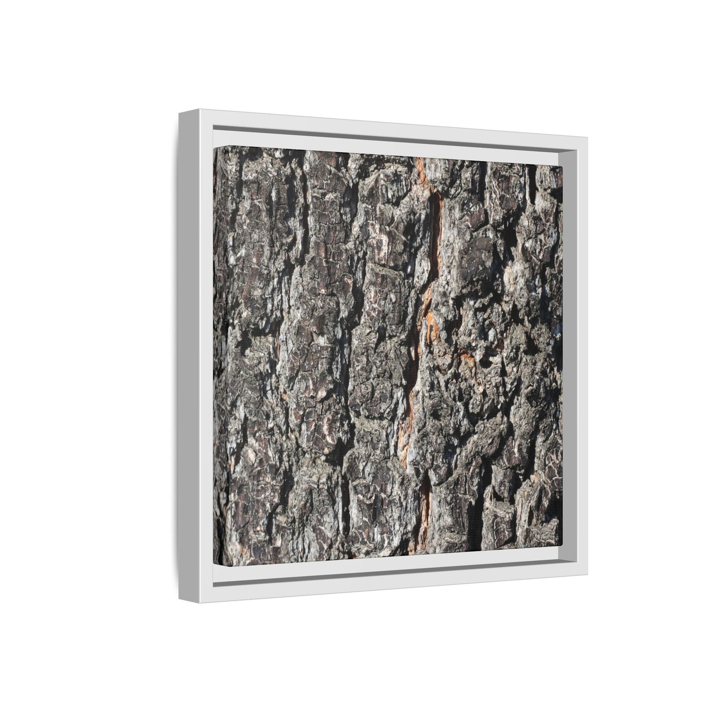 Aged Beauty - Unique Stretched Canvas Wall Art