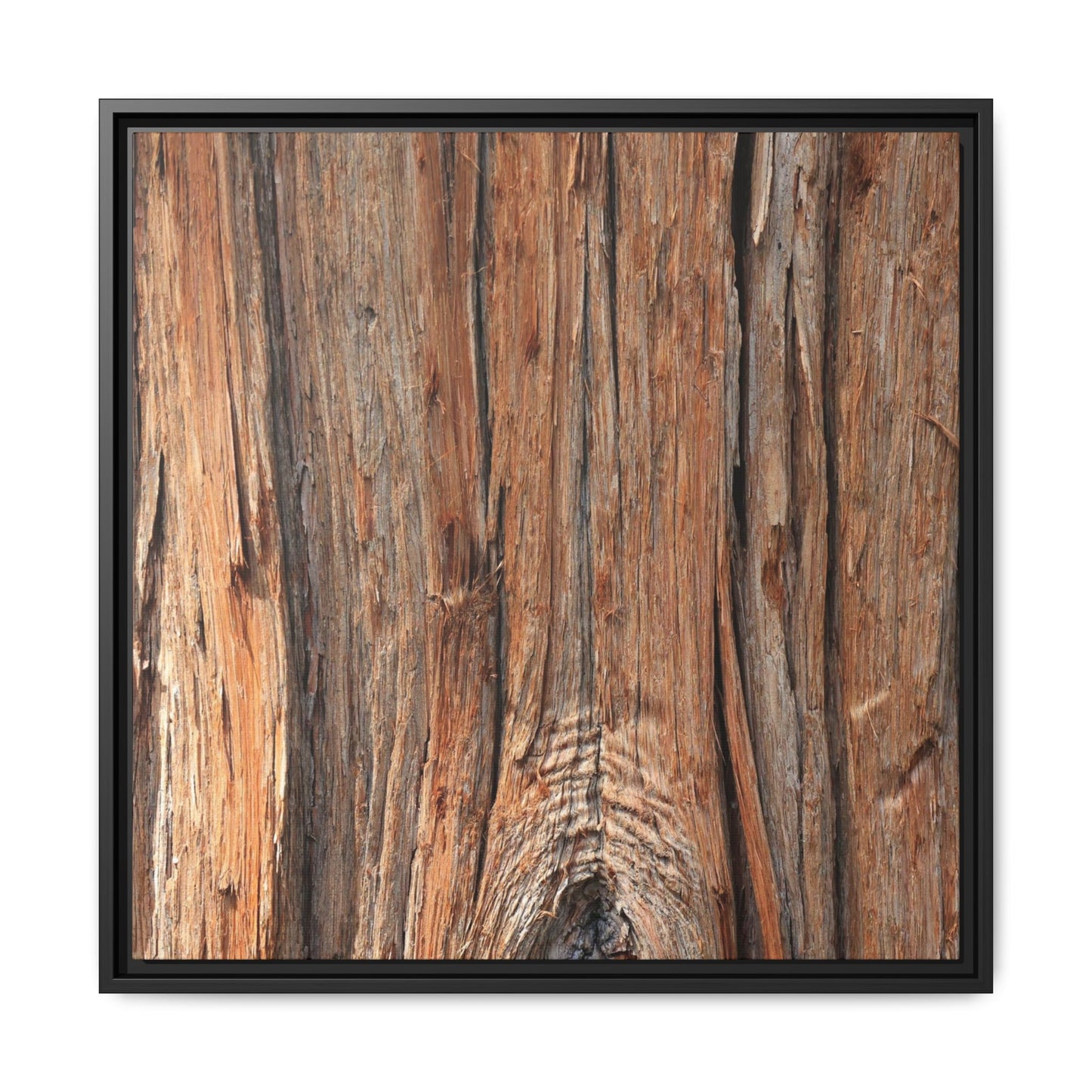 Echoes of Timber - Unique Stretched Canvas Wall Art