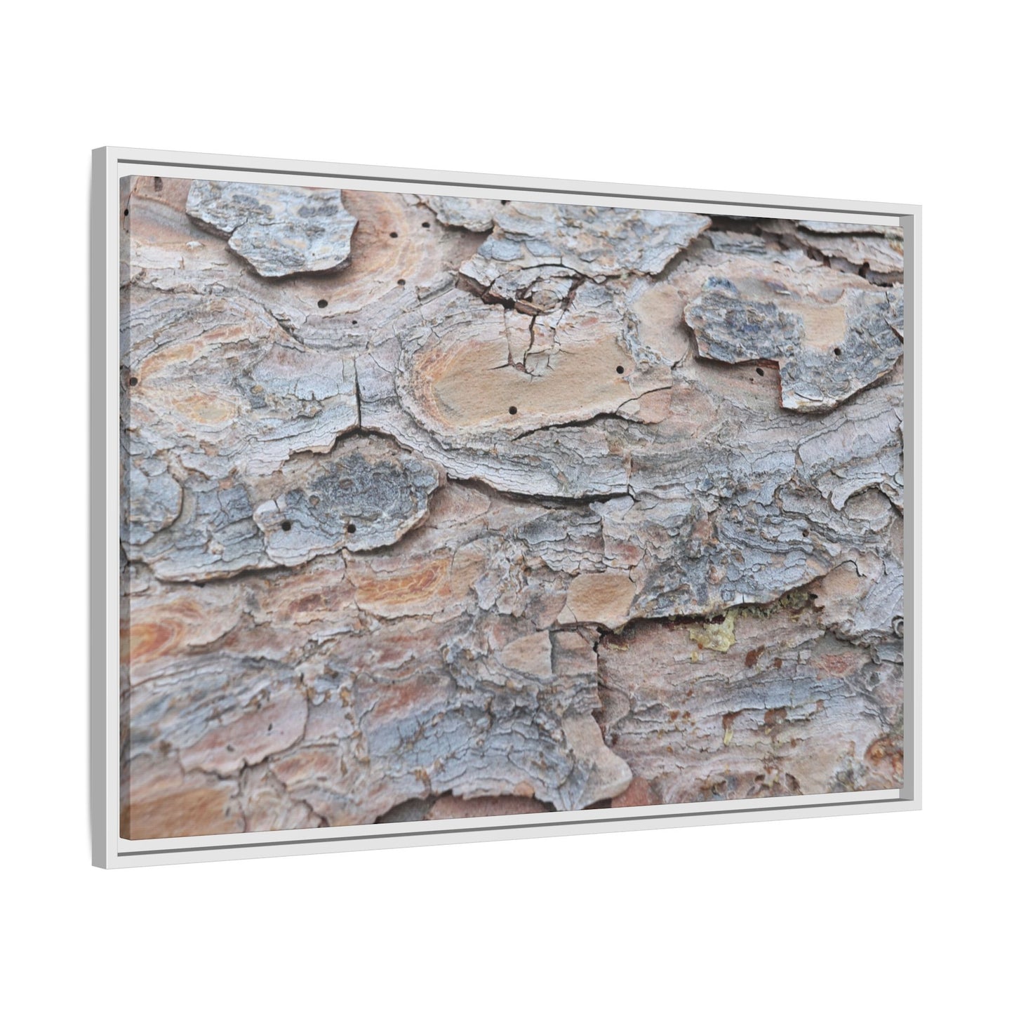 Peeling Memories - Unique Stretched Canvas Wall Art