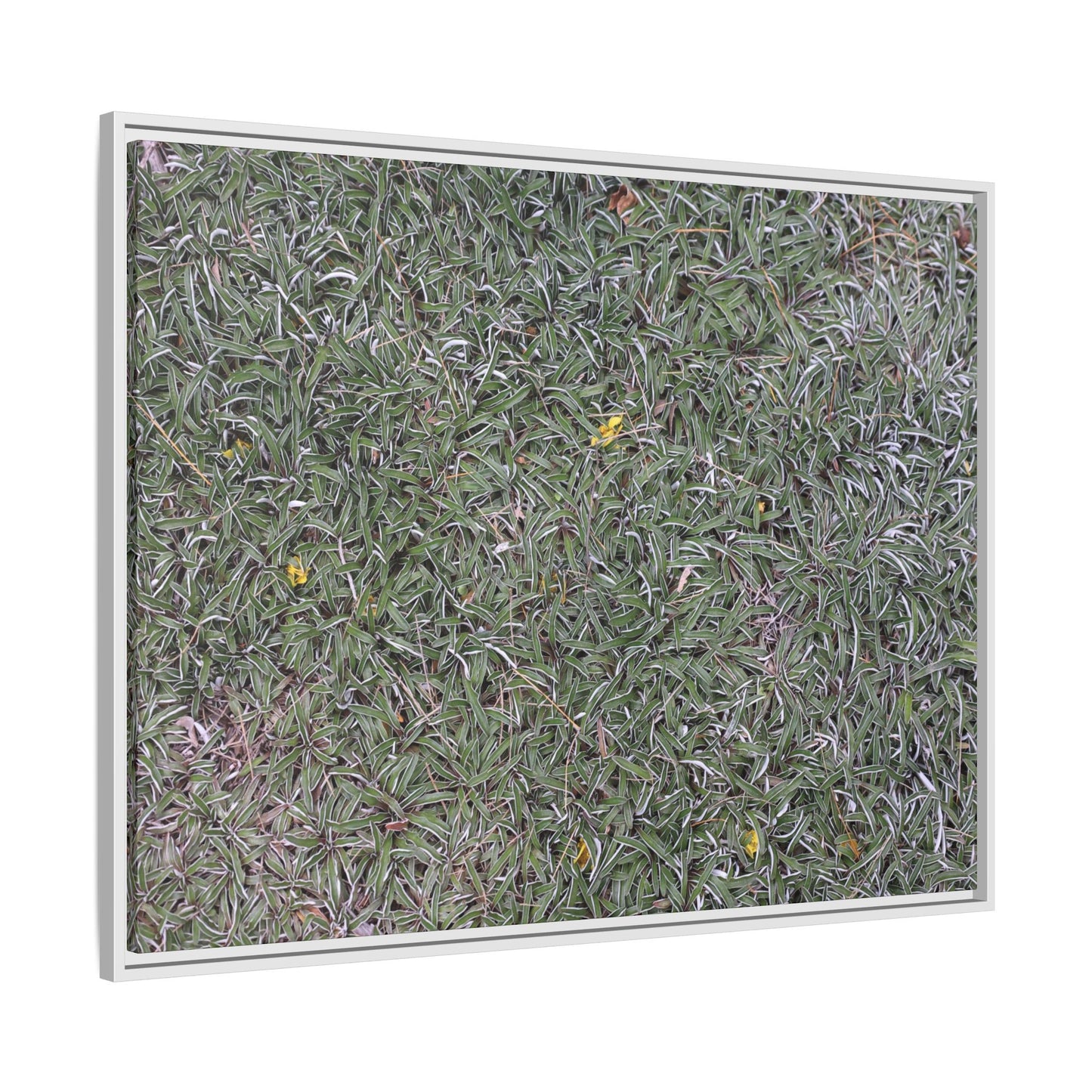 Grassy Texture - Unique Stretched Canvas Wall Art