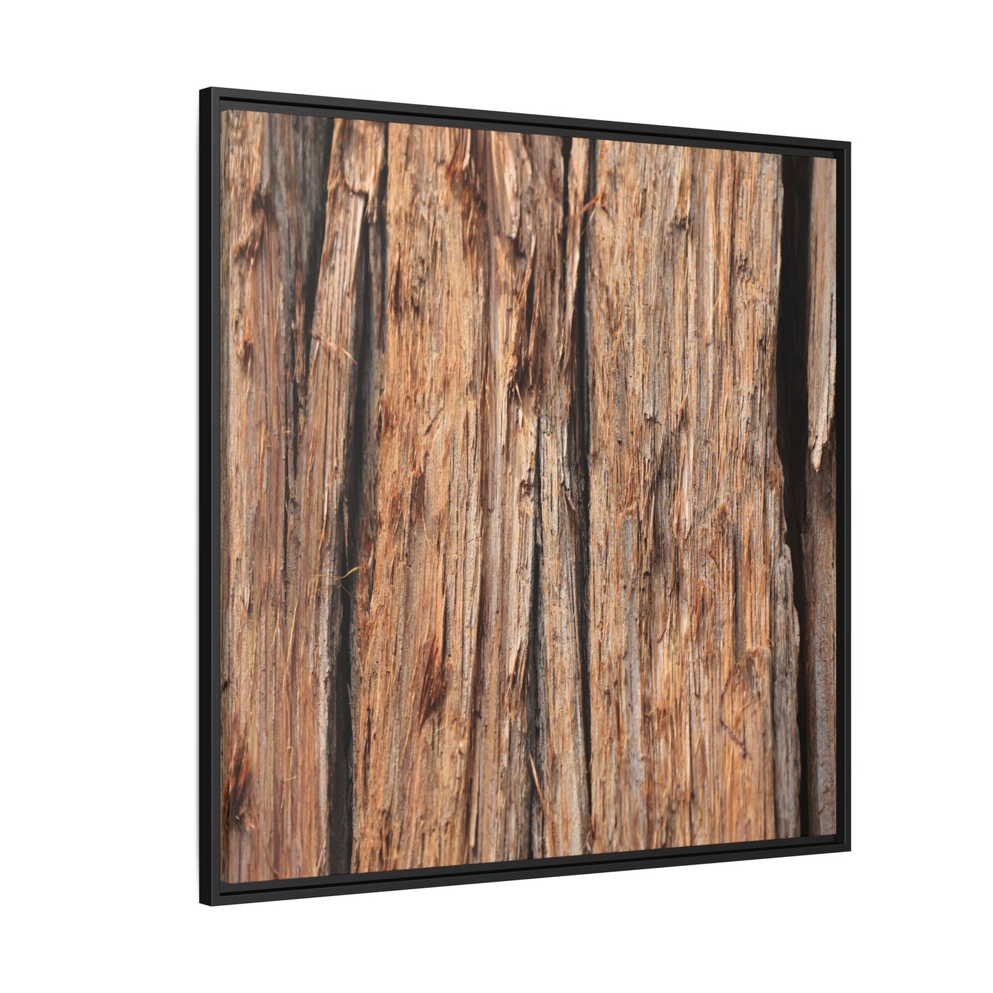 Timber Echoes - Unique Stretched Canvas Wall Art