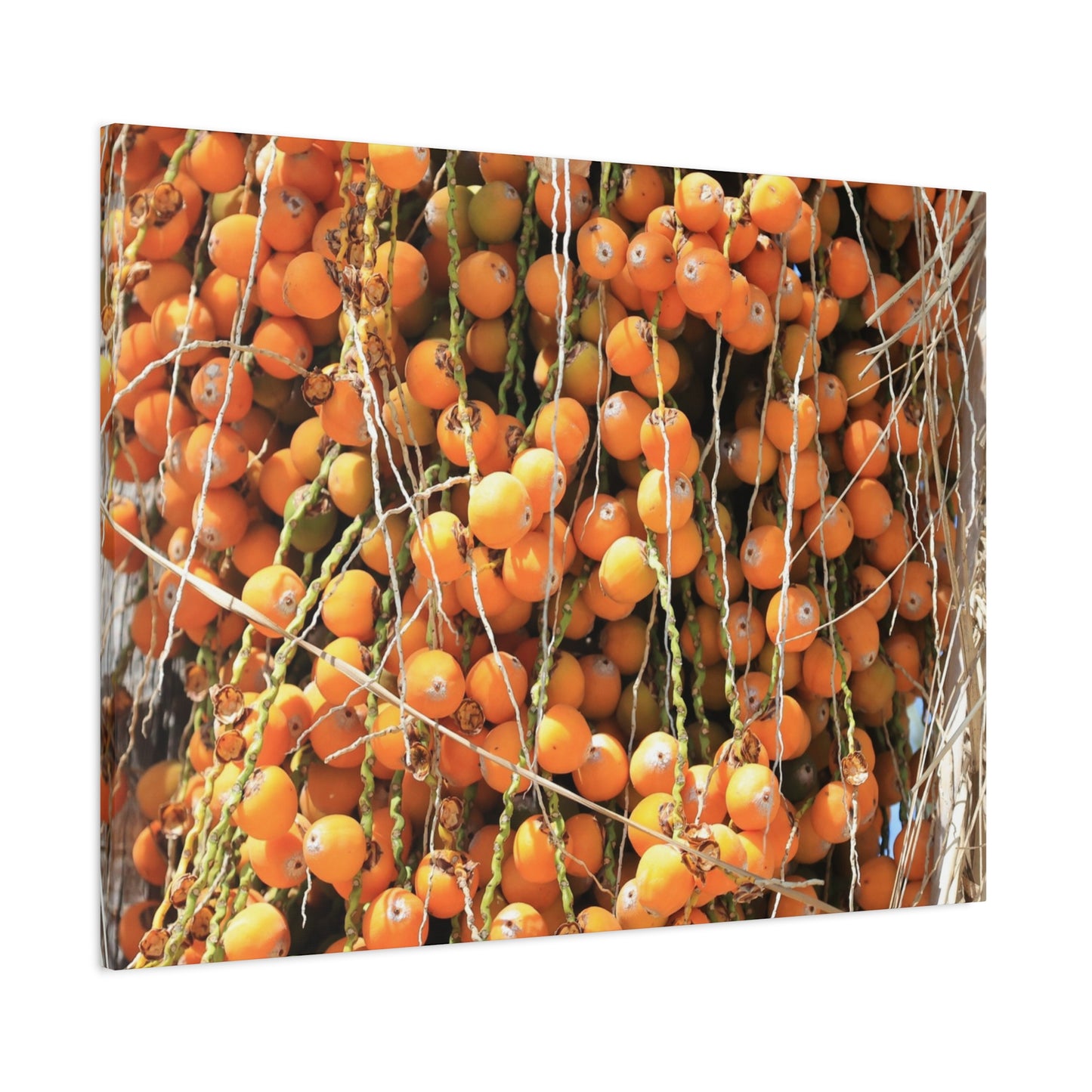 Orange Harvest - Unique Frameless Canvas Wall Art