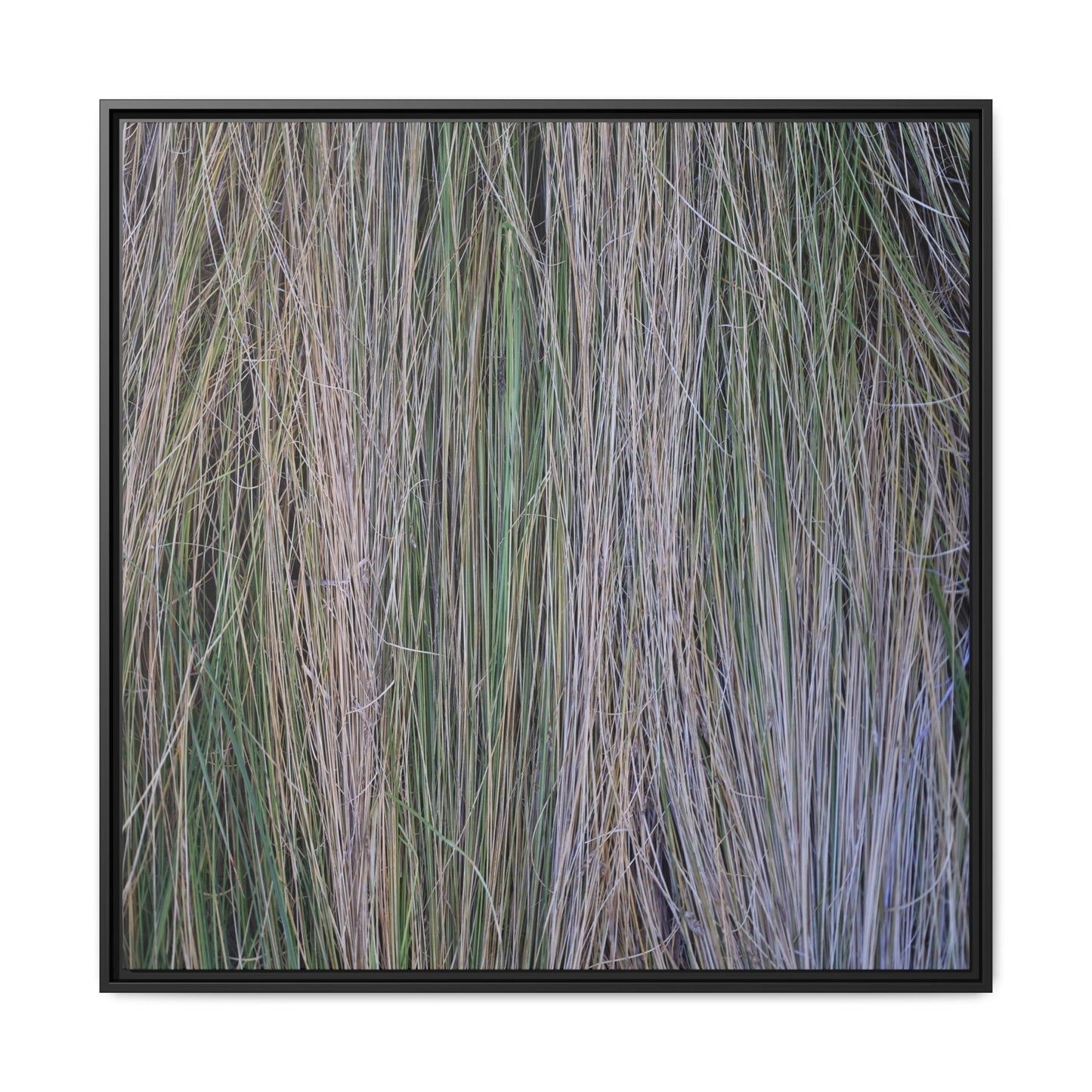 Whispers of Silver Grass - Unique Stretched Canvas Wall Art