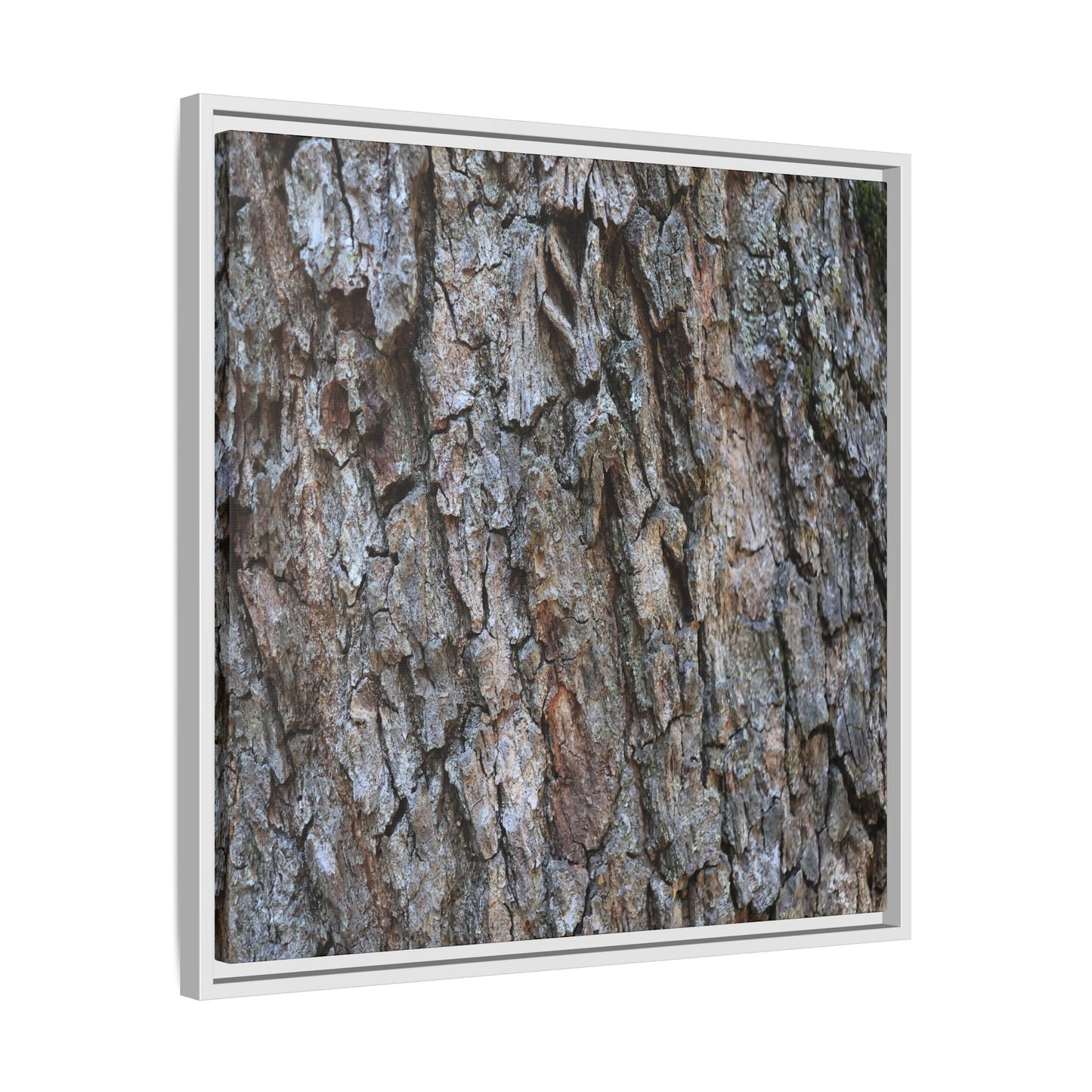 Woodland Skin - Unique Stretched Canvas Wall Art