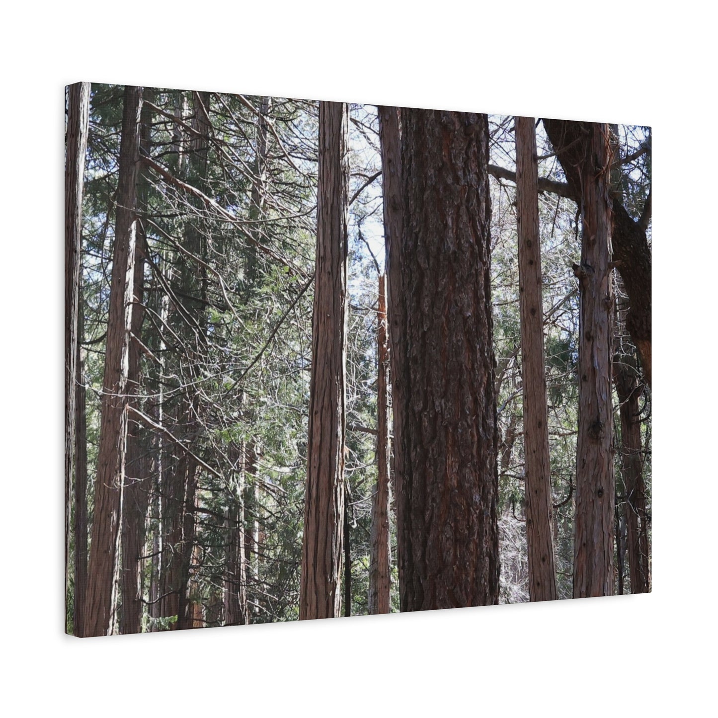 Vertical Sentinels - Unique Frameless Canvas Wall Art