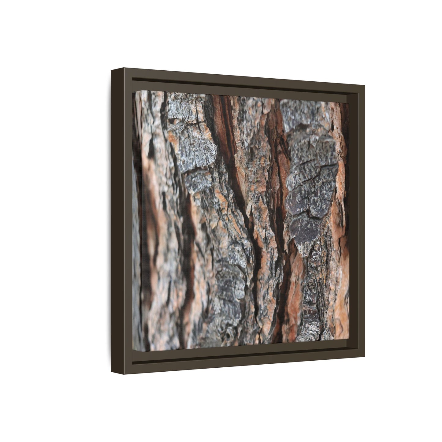 Fractured Nature - Unique Stretched Canvas Wall Art