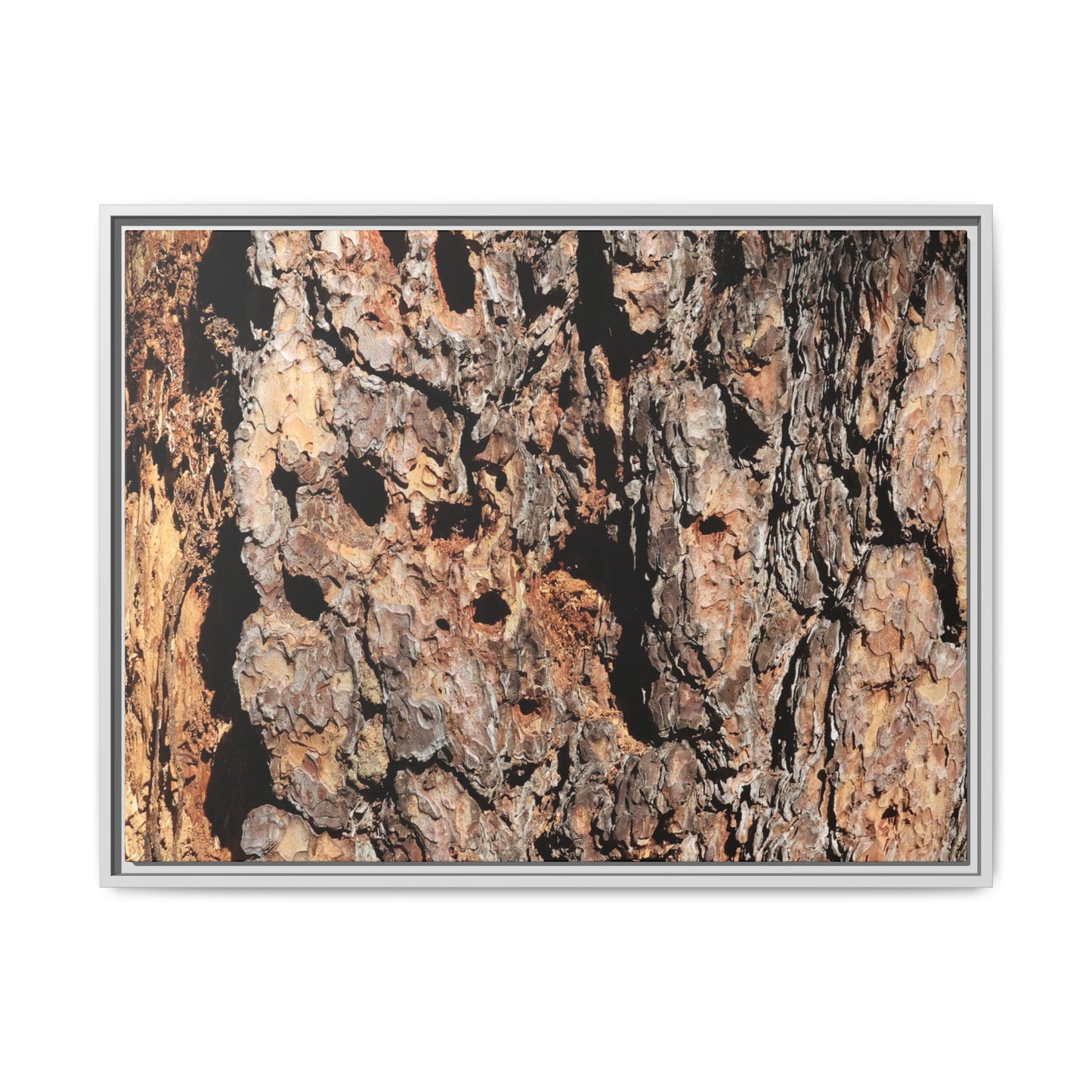 Rugged Rhythms - Unique Stretched Canvas Wall Art