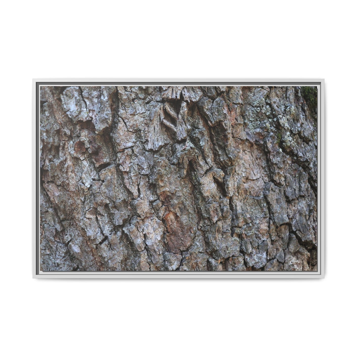 Woodland Skin - Unique Stretched Canvas Wall Art