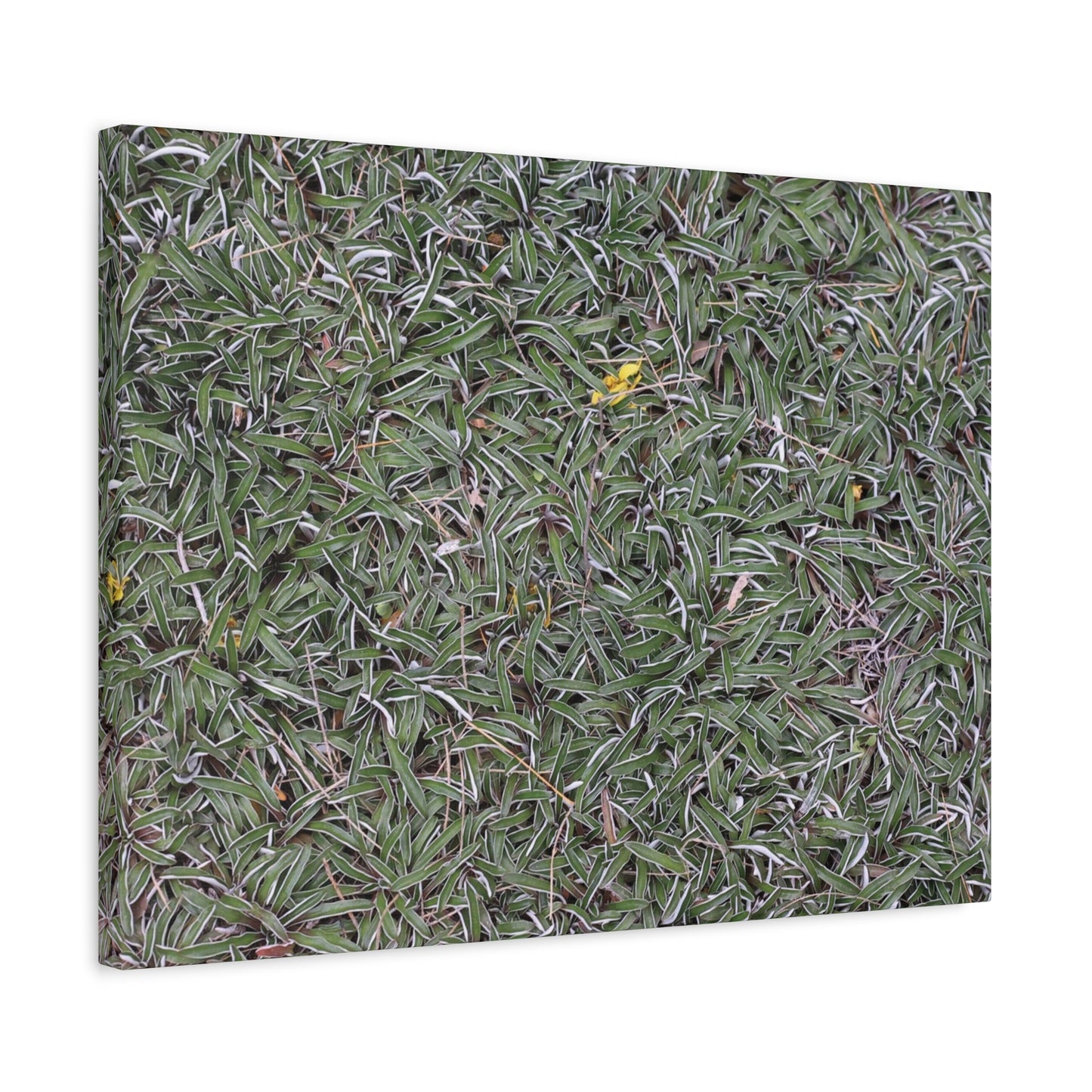 Tangled Memories - Unique Frameless Canvas Wall Art