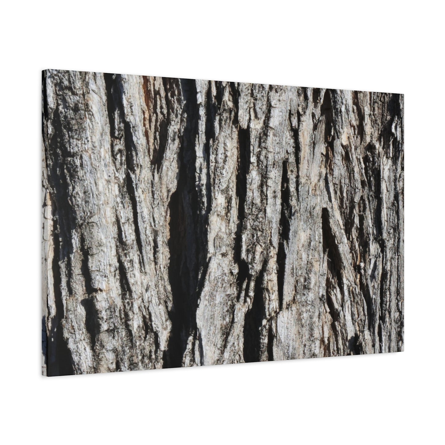 Bark Textures in Monochrome - Unique Frameless Canvas Wall Art