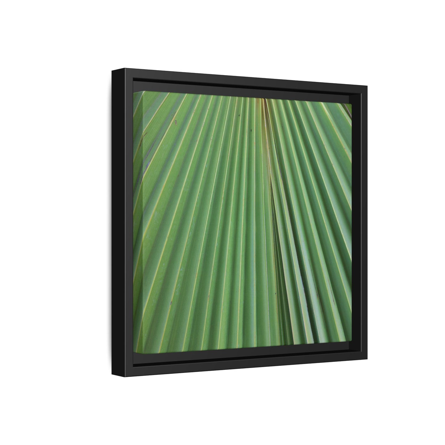Verdant Veins - Unique Stretched Canvas Wall Art