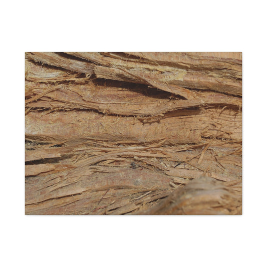 Layers of Memory - Unique Frameless Canvas Wall Art - Art By Earth