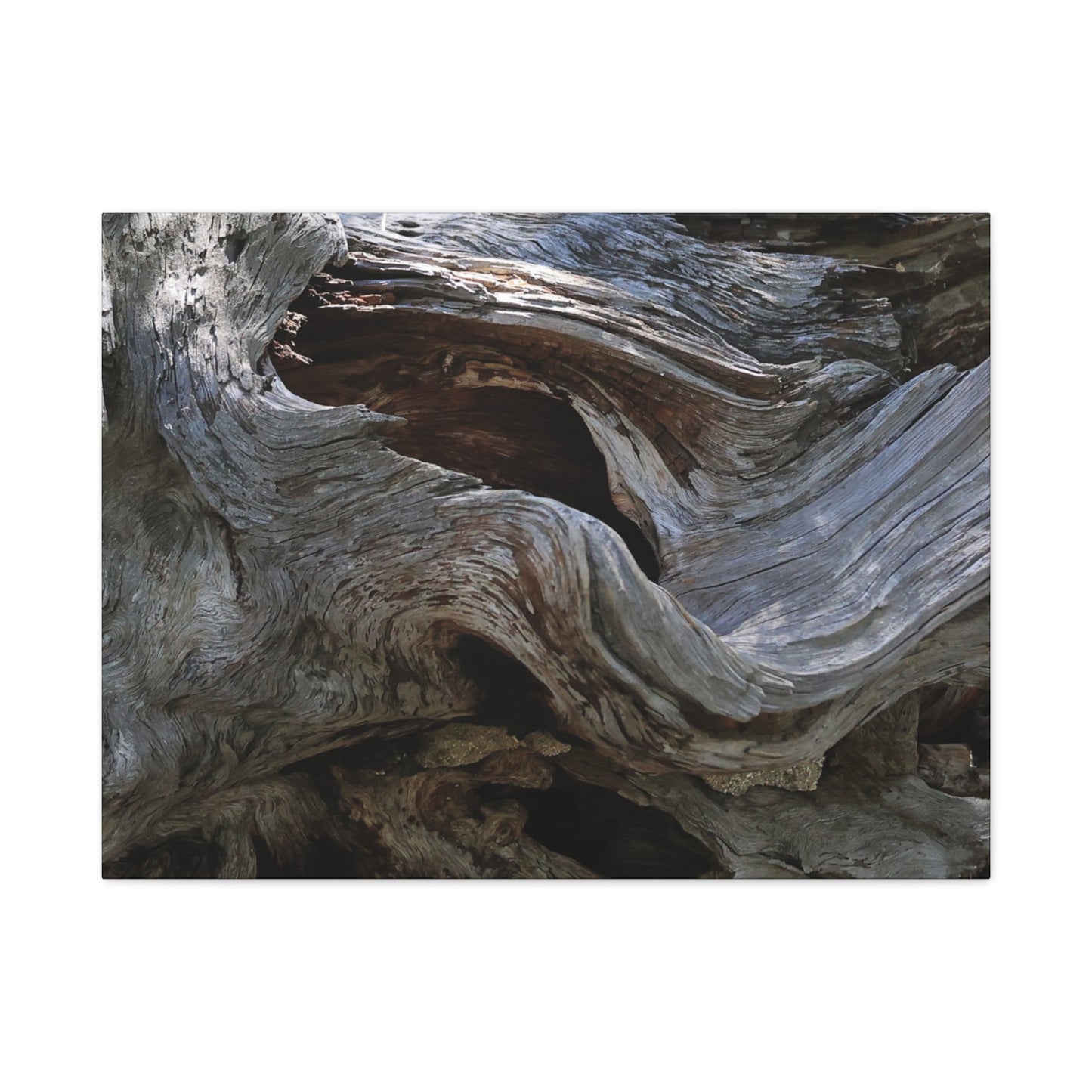 Twisted Fate - Unique Frameless Canvas Wall Art