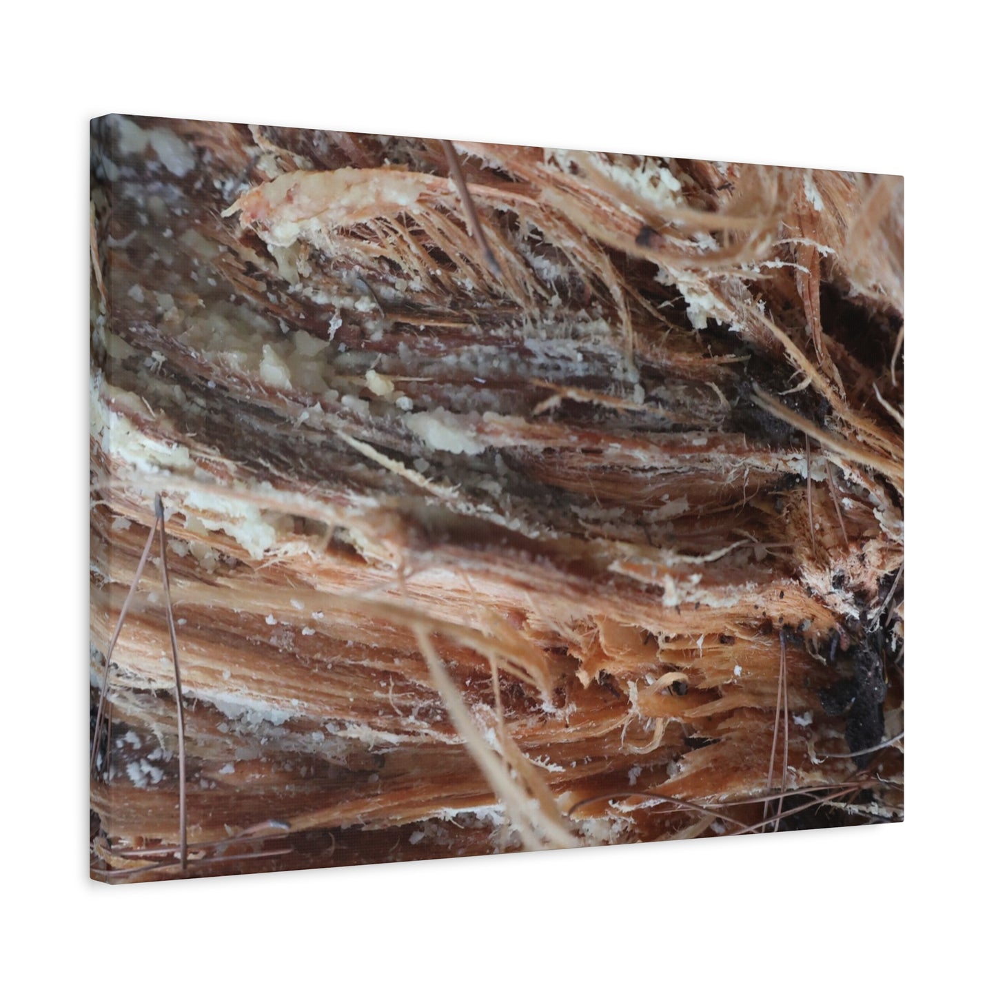 Decaying Whispers - Unique Frameless Canvas Wall Art