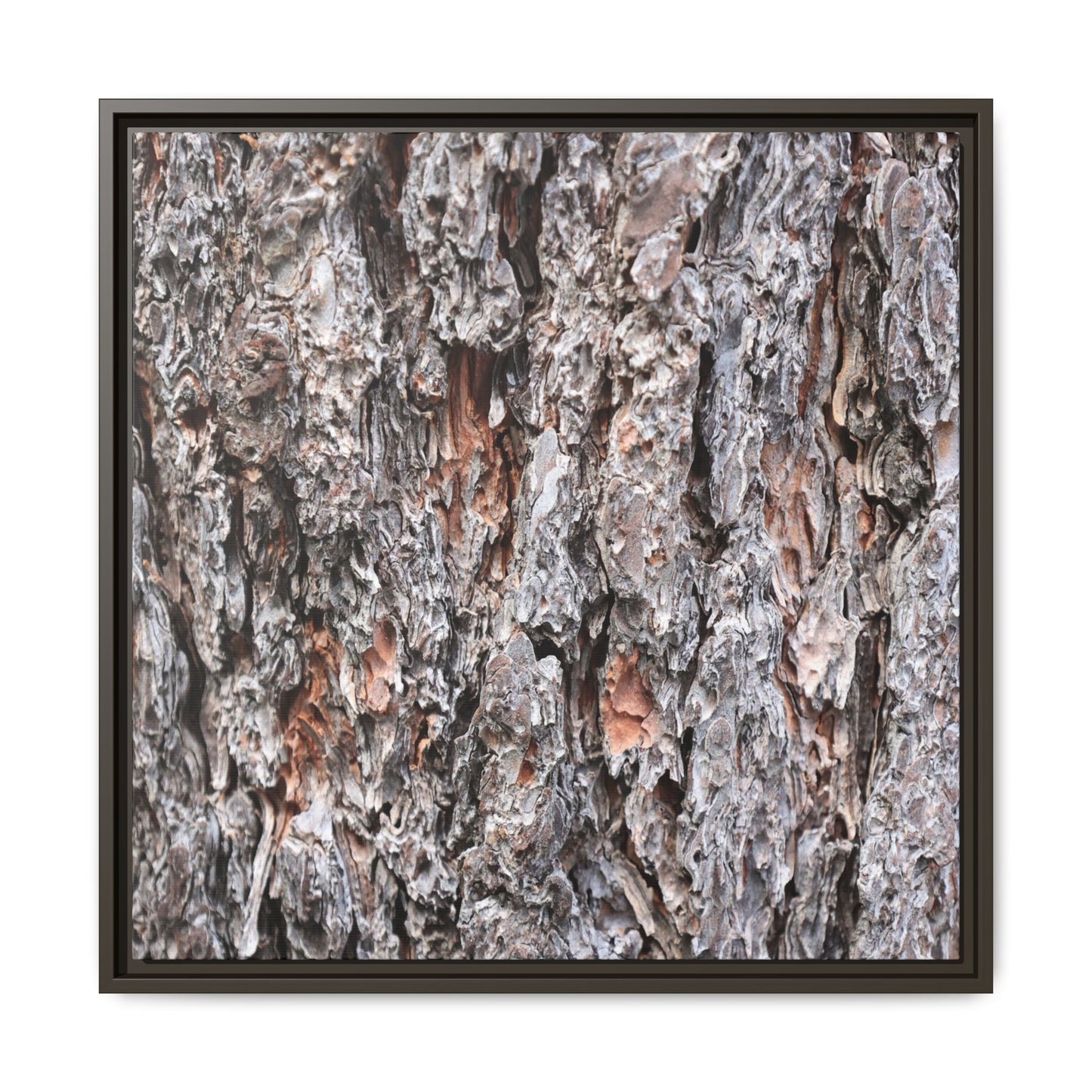 Rugged Cortex - Unique Stretched Canvas Wall Art