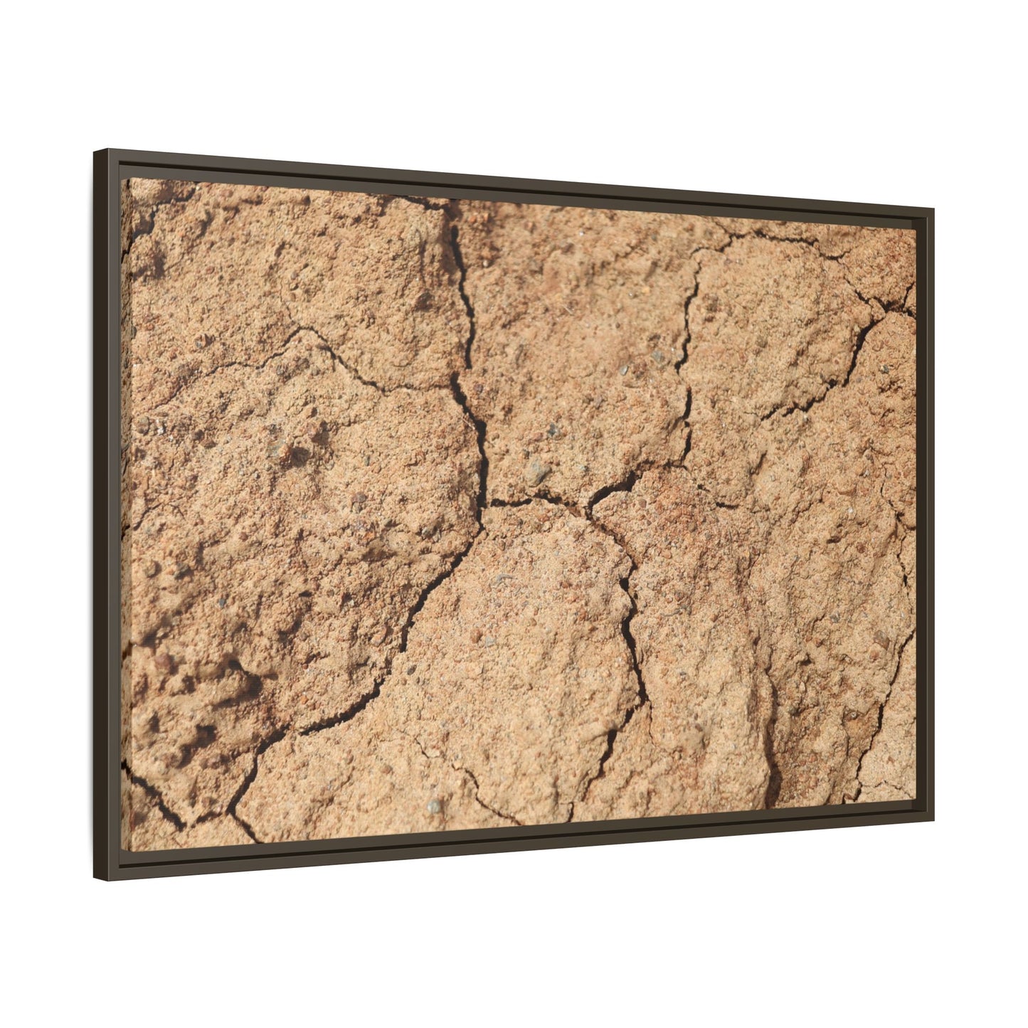 Parched Land - Unique Stretched Canvas Wall Art