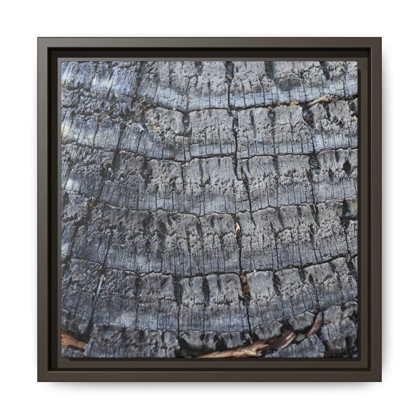 Charred Memories - Unique Stretched Canvas Wall Art