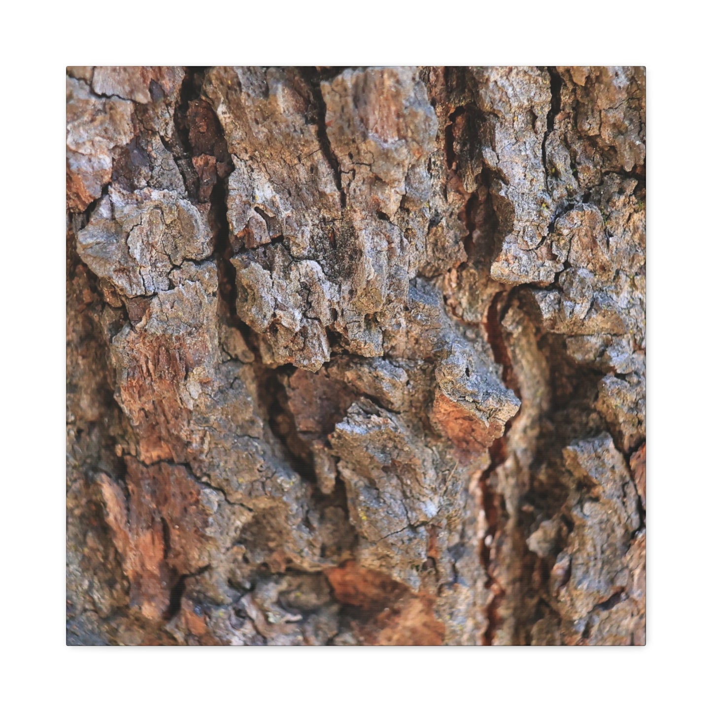 Nature's Skin - Unique Frameless Canvas Wall Art