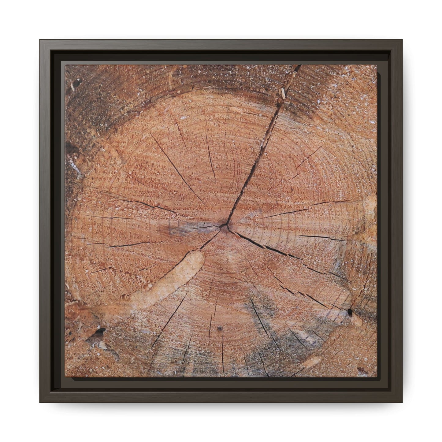 Concentric Memories - Unique Stretched Canvas Wall Art
