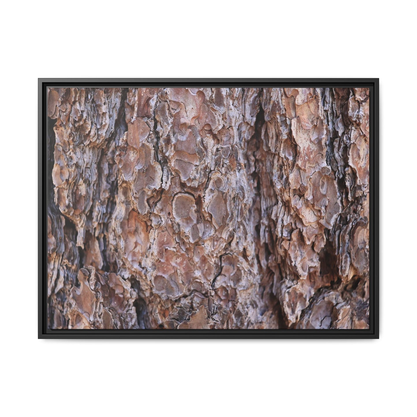 Woody Layers - Unique Stretched Canvas Wall Art