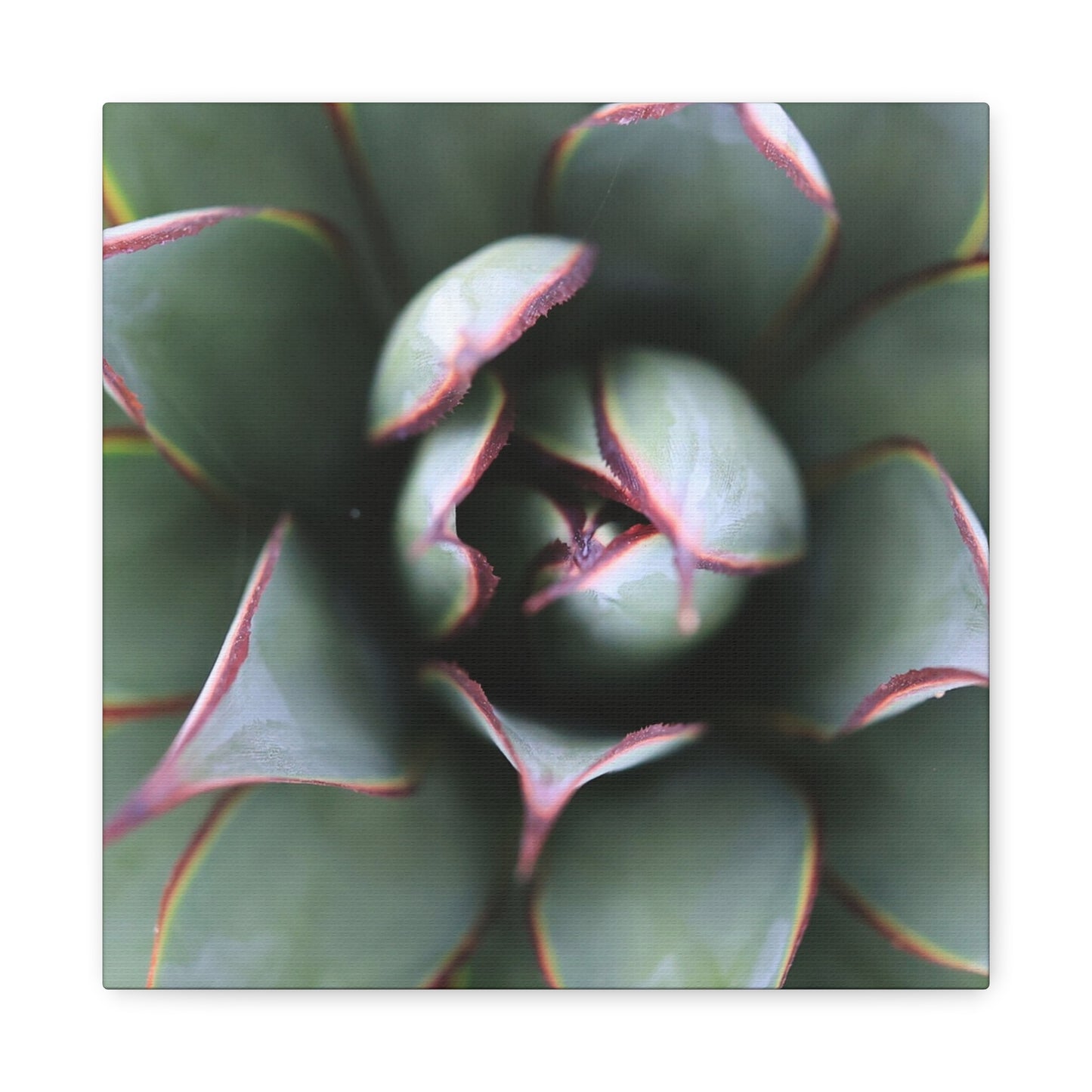 Emerald Spiral - Unique Frameless Canvas Wall Art