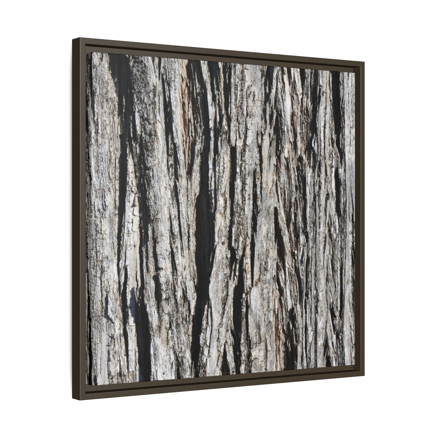 Bark Lines - Unique Stretched Canvas Wall Art