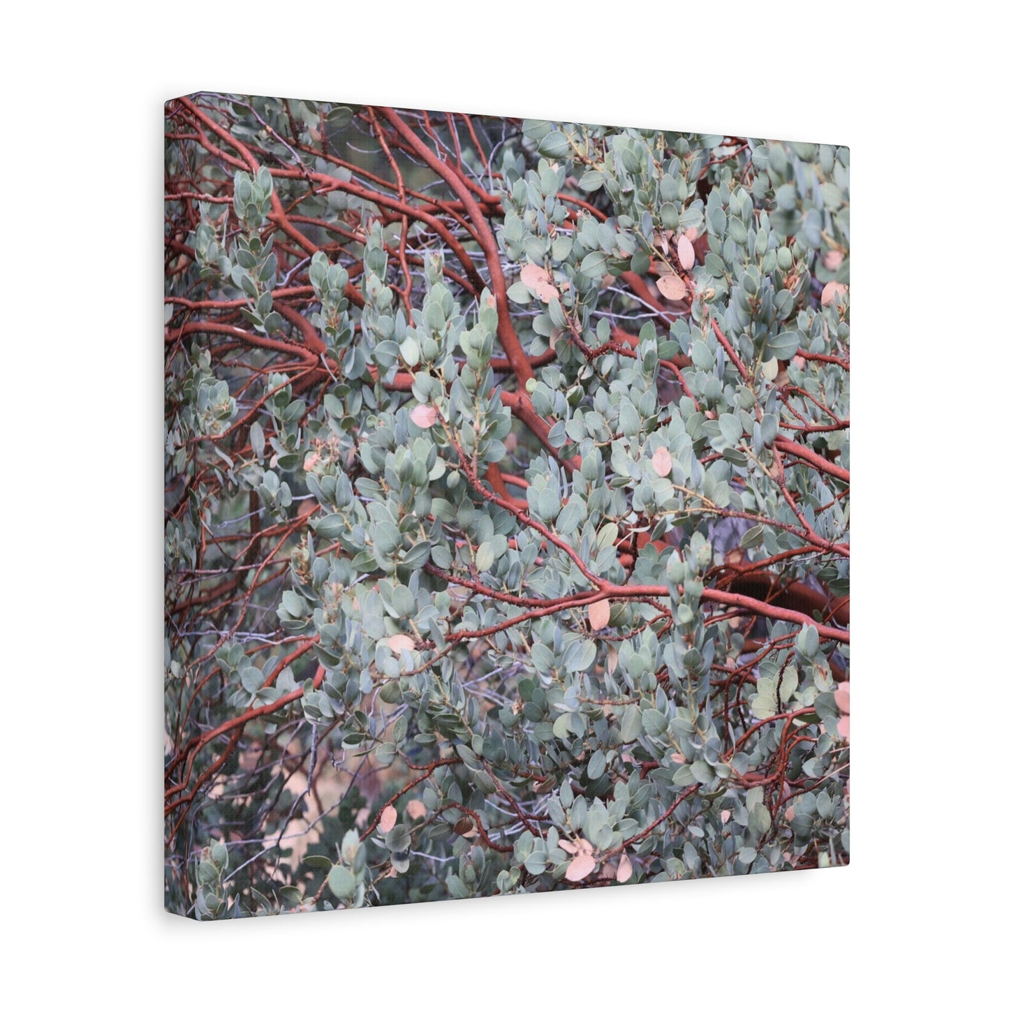 Whispers of Silver and Rust - Unique Frameless Canvas Wall Art