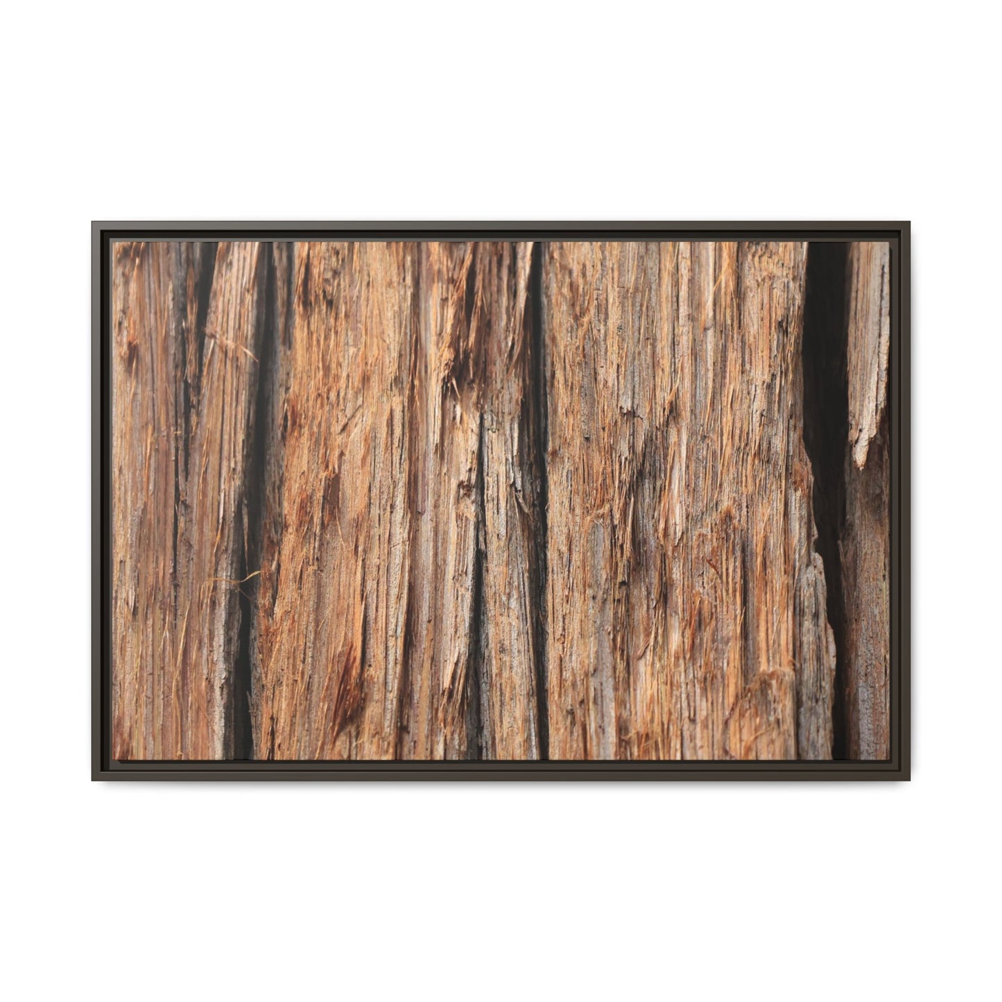 Timber Echoes - Unique Stretched Canvas Wall Art