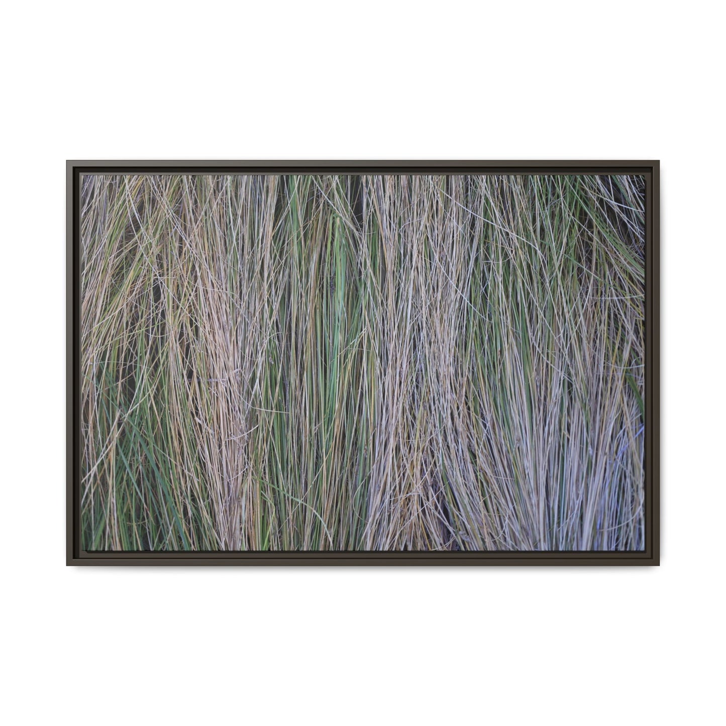 Whispers of Silver Grass - Unique Stretched Canvas Wall Art