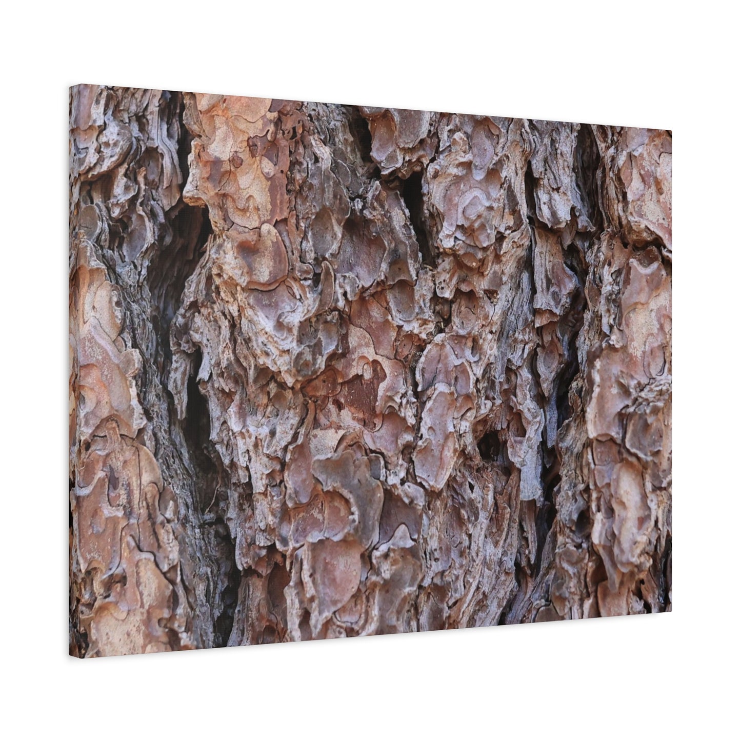 Rough Canvas - Unique Frameless Canvas Wall Art